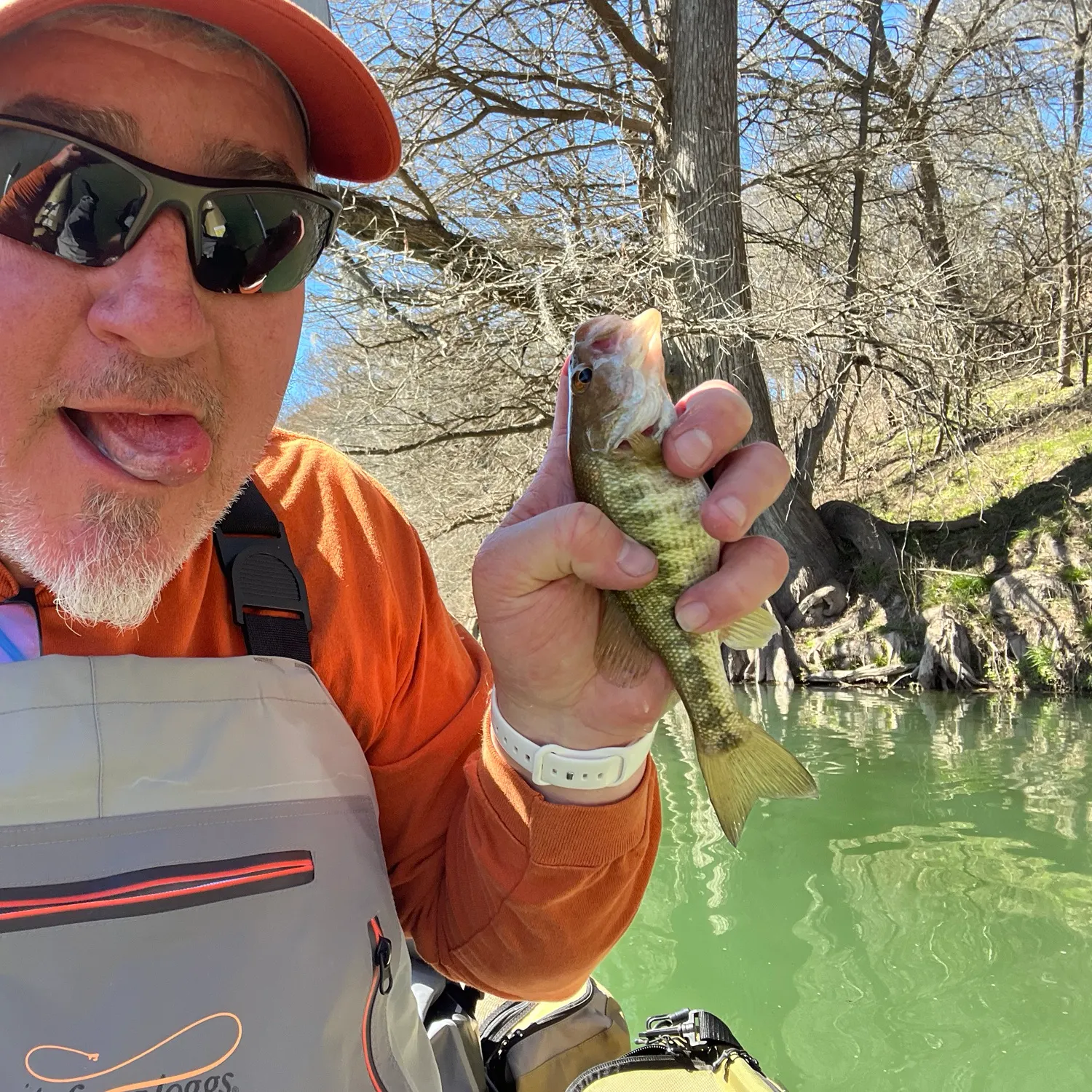 The most recent Guadalupe bass catches on Fishbrain