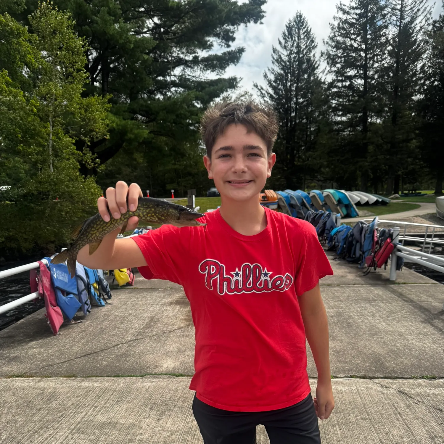 Grass pickerel caught on Fishbrain