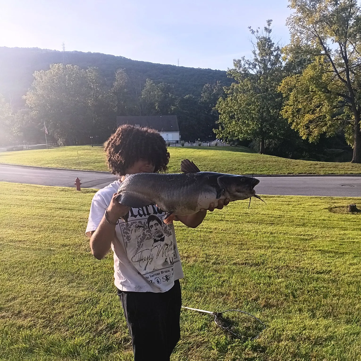 Channel catfish caught on Fishbrain