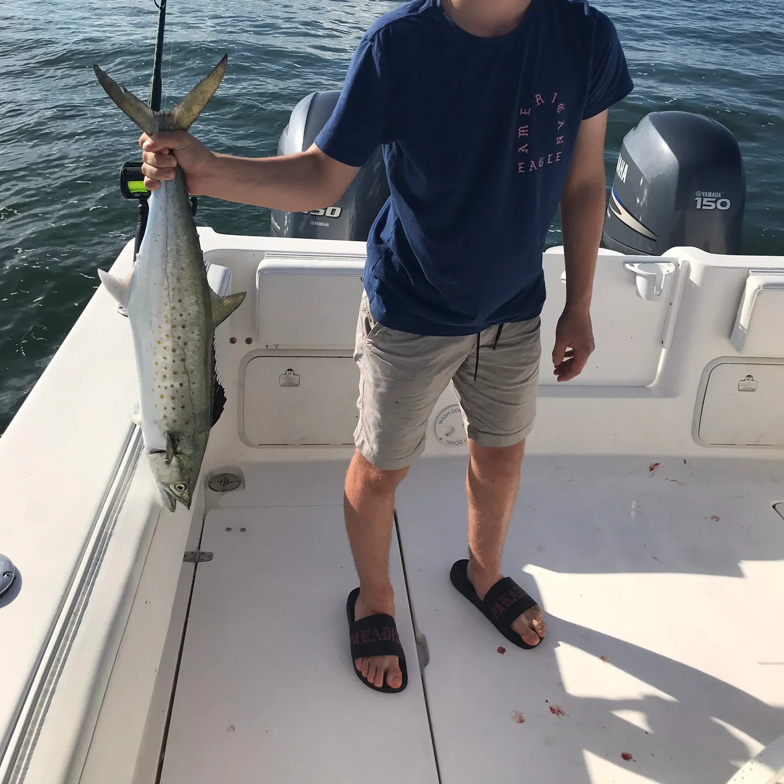 The most recent Spanish mackerel catches on Fishbrain