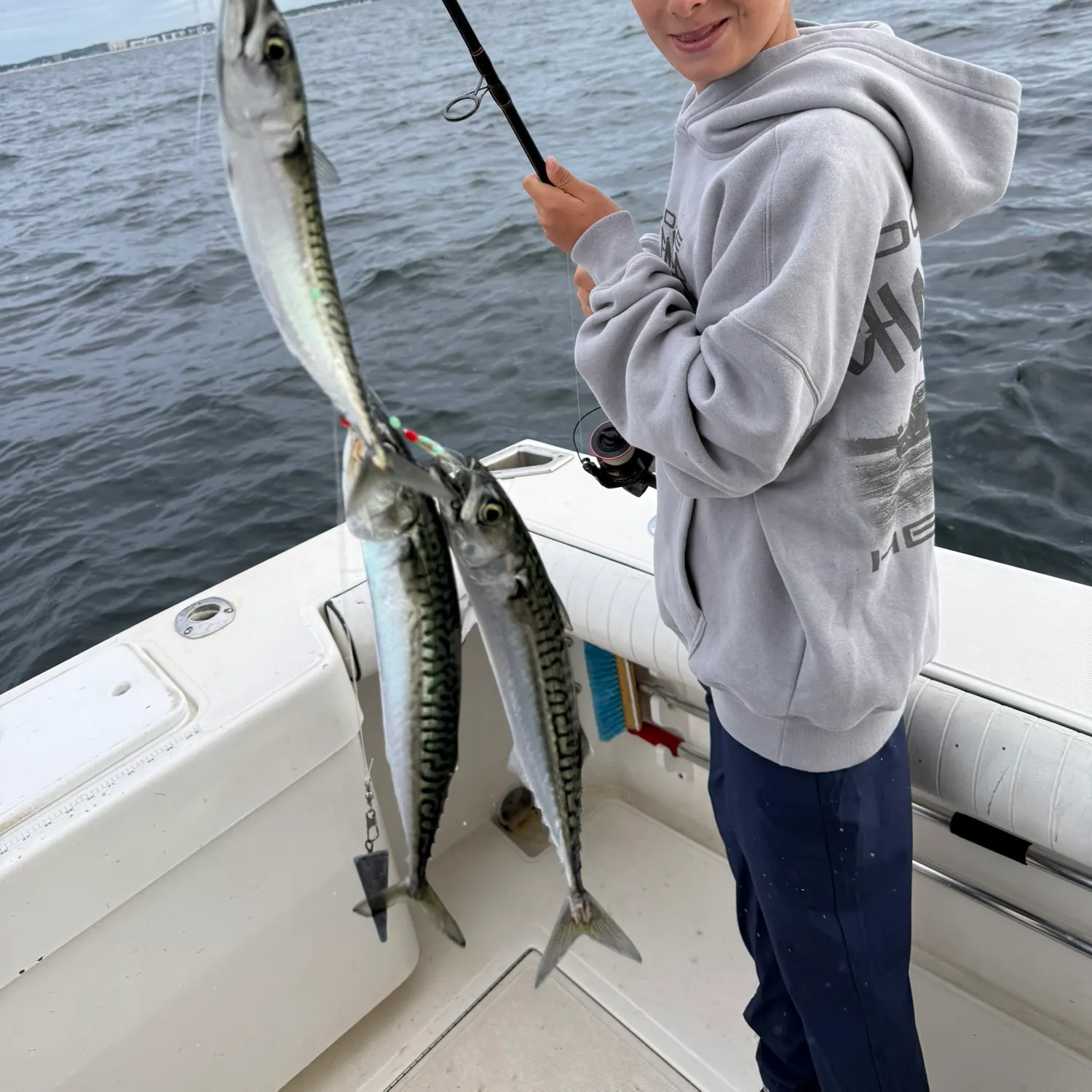 Atlantic mackerel caught on Fishbrain