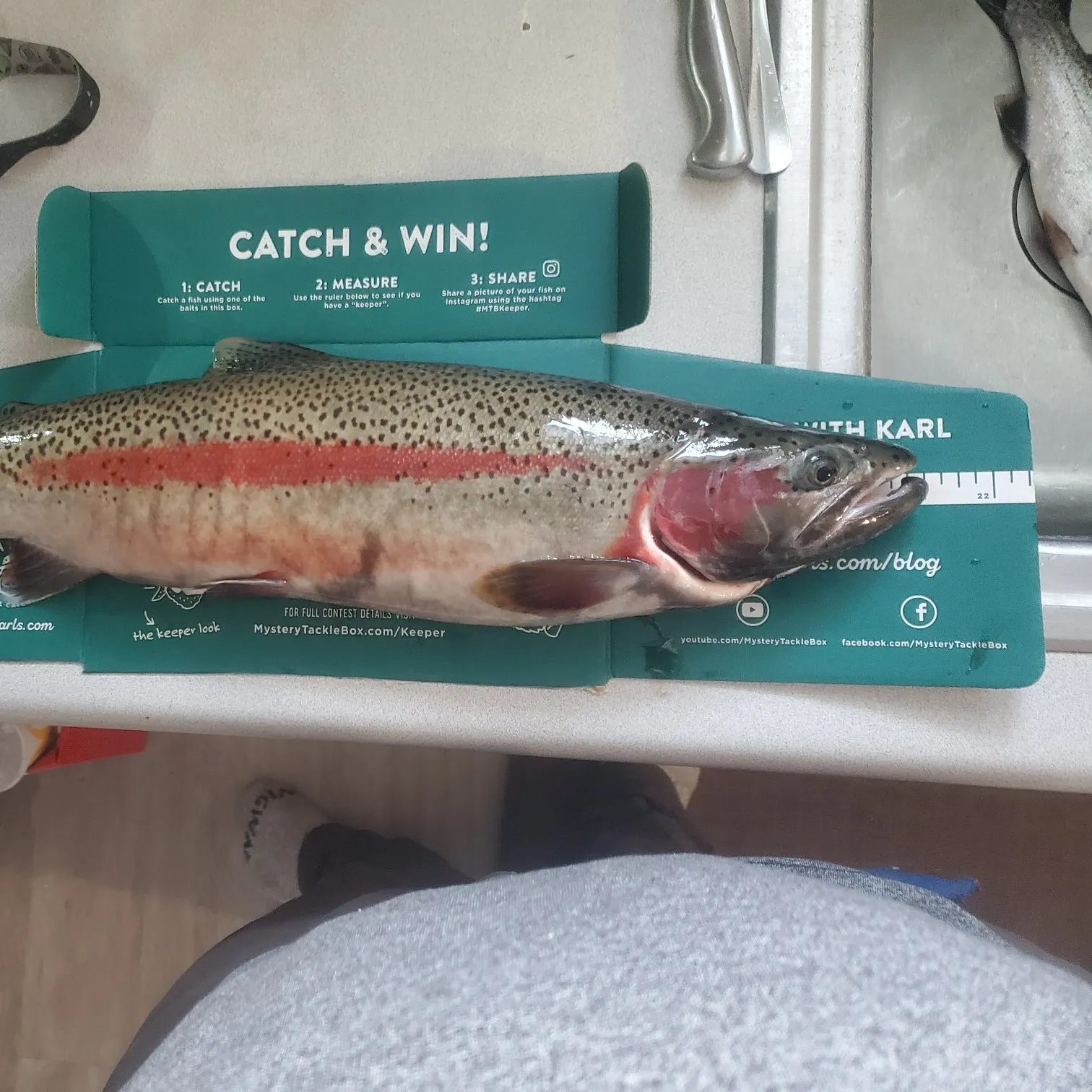 recently logged catches
