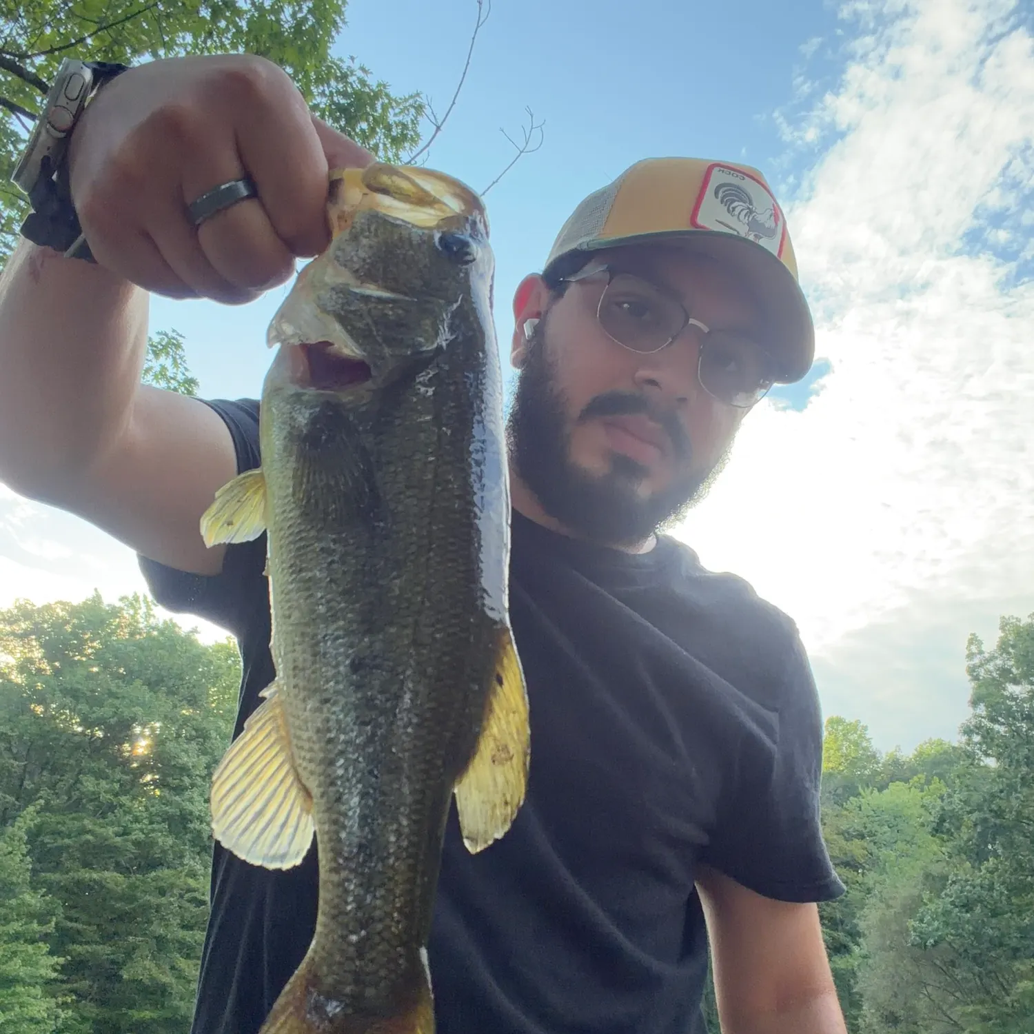 Largemouth bass caught on Fishbrain