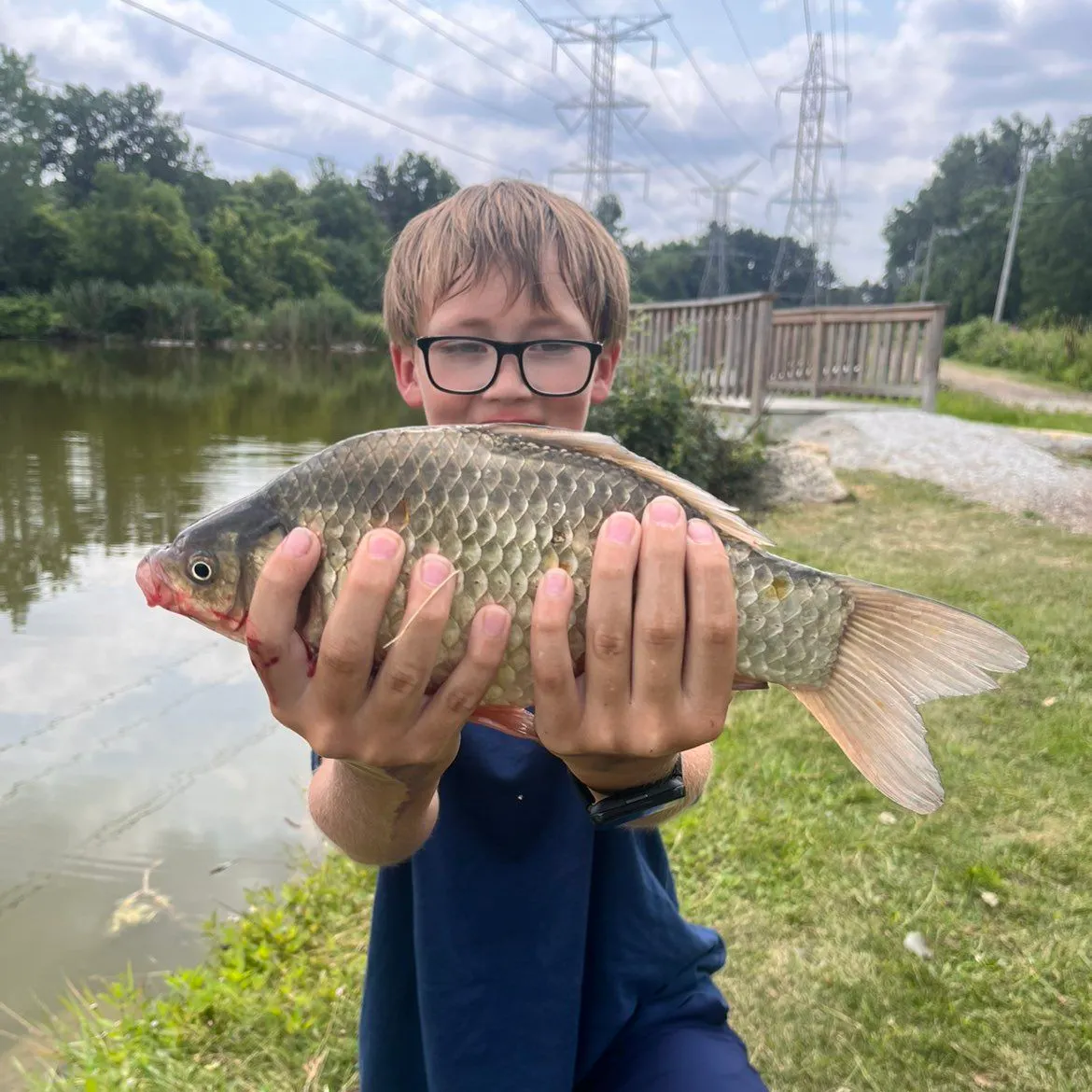 The most recent Japanese white crucian carp catches on Fishbrain