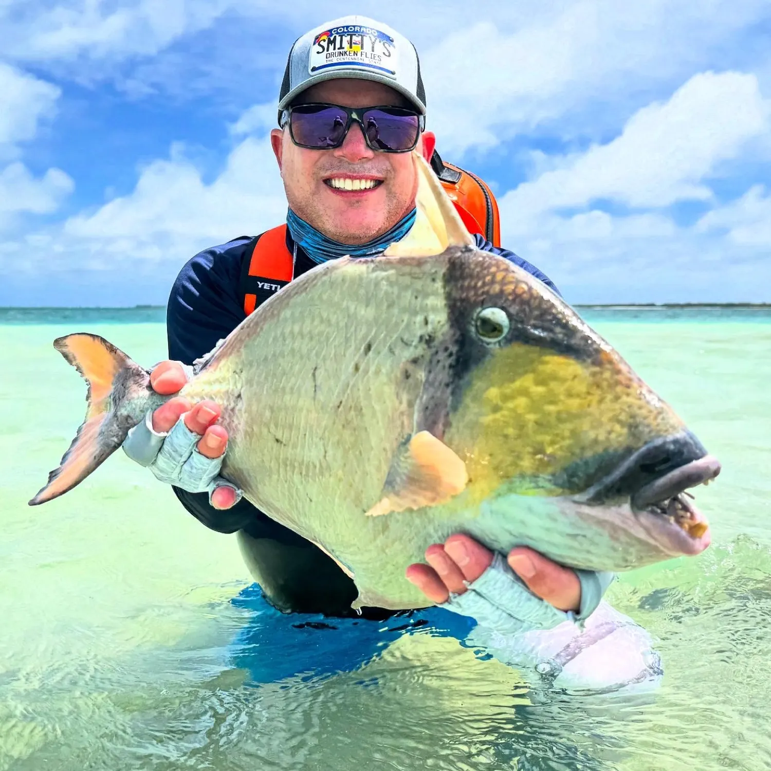 The most recent Titan triggerfish catches on Fishbrain