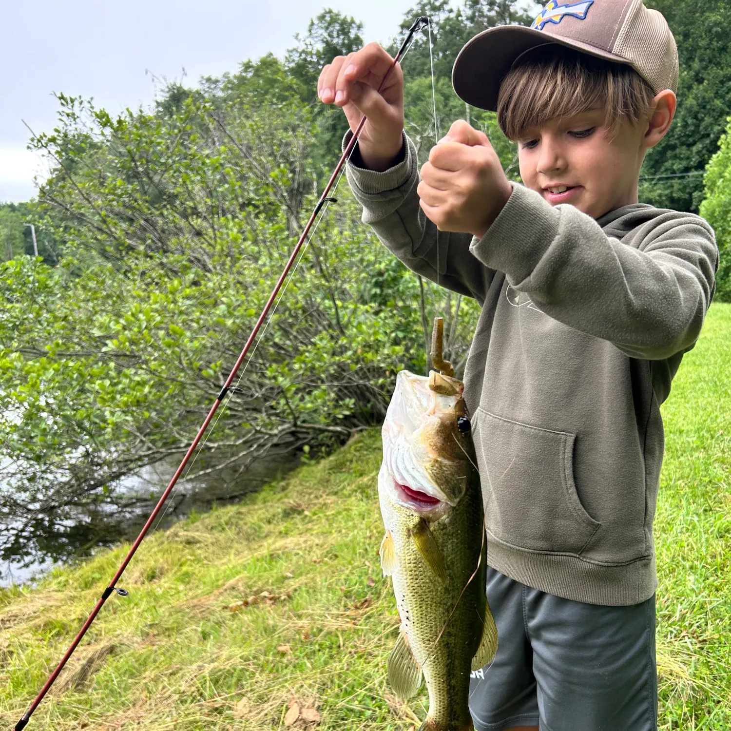 Largemouth bass caught on Fishbrain