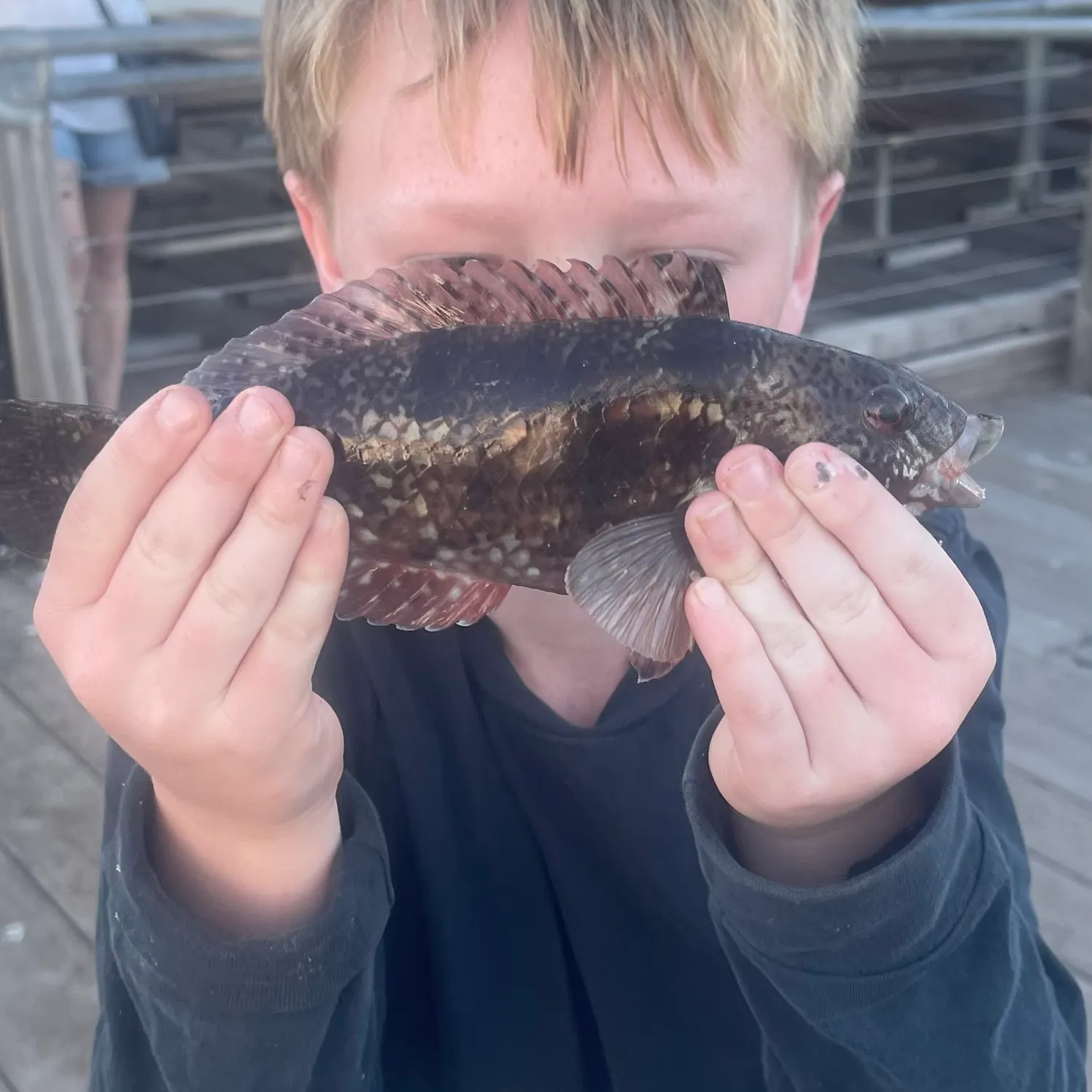 Fish caught on Fishbrain