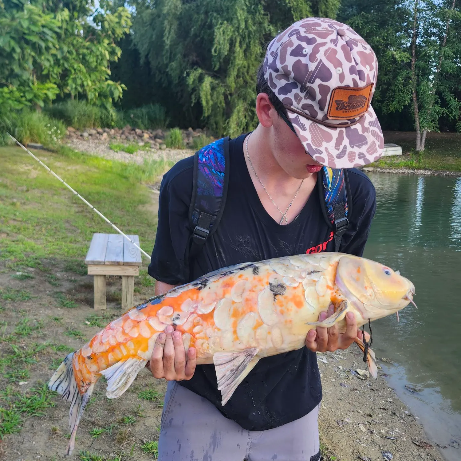 Koi carp caught on Fishbrain