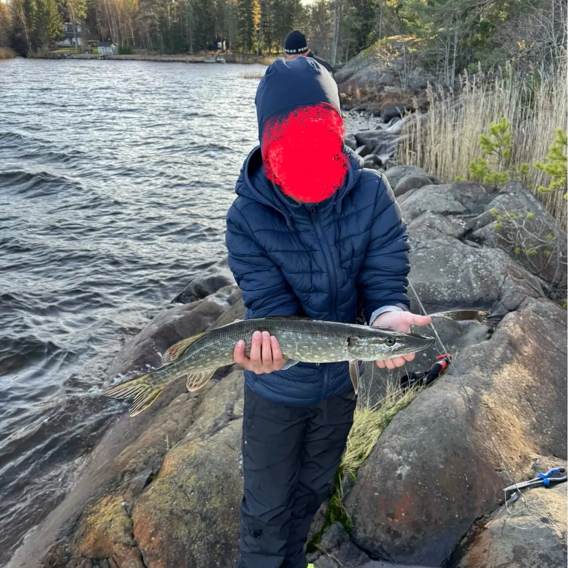 Northern pike caught on Fishbrain