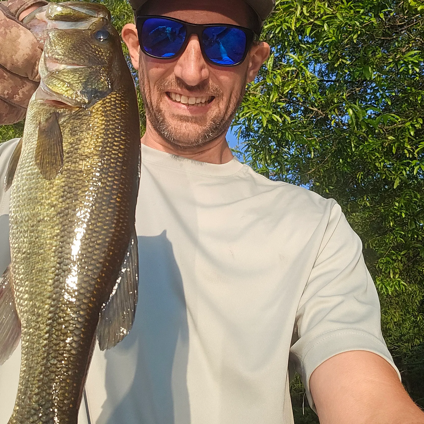 Largemouth bass caught on Fishbrain