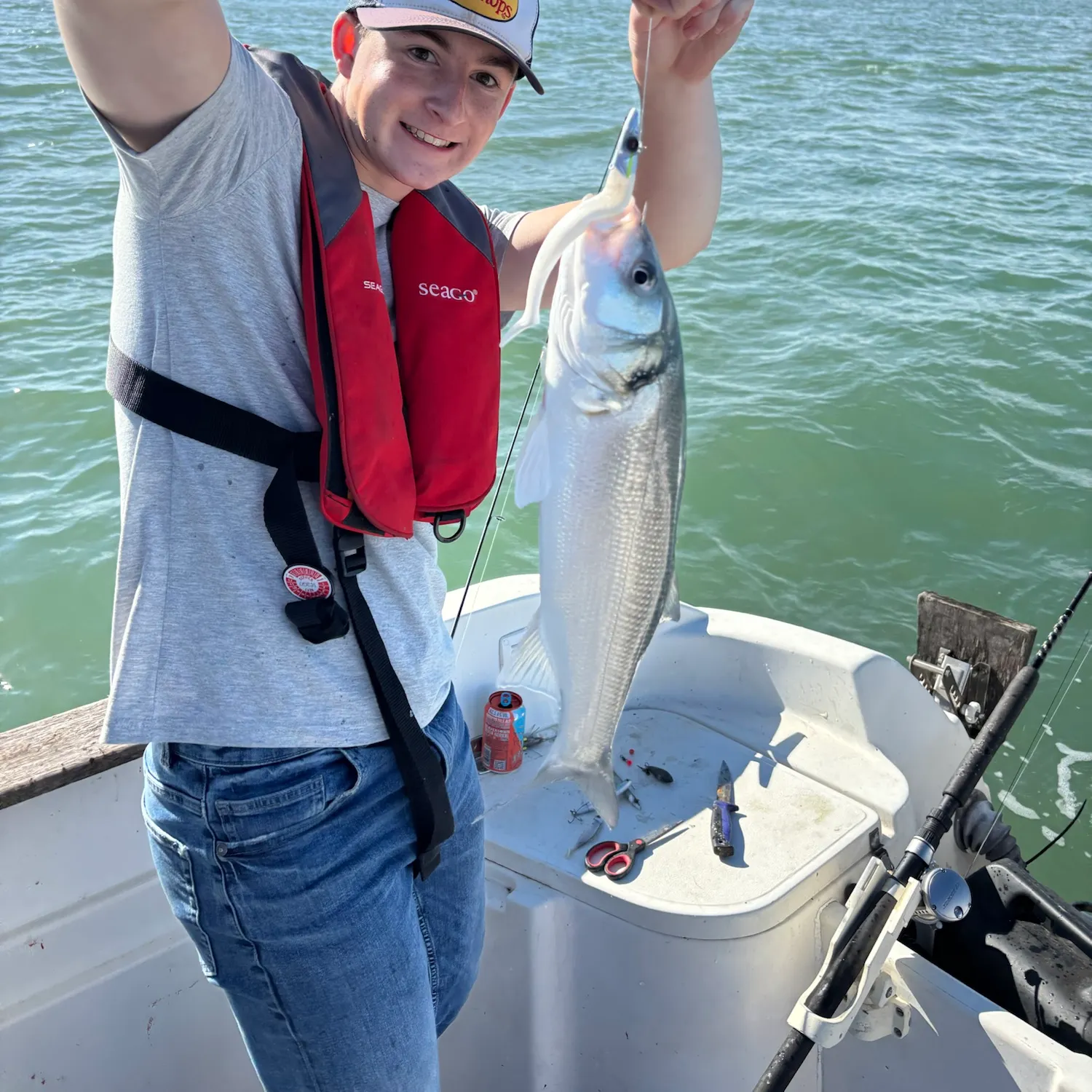 European seabass caught on Fishbrain