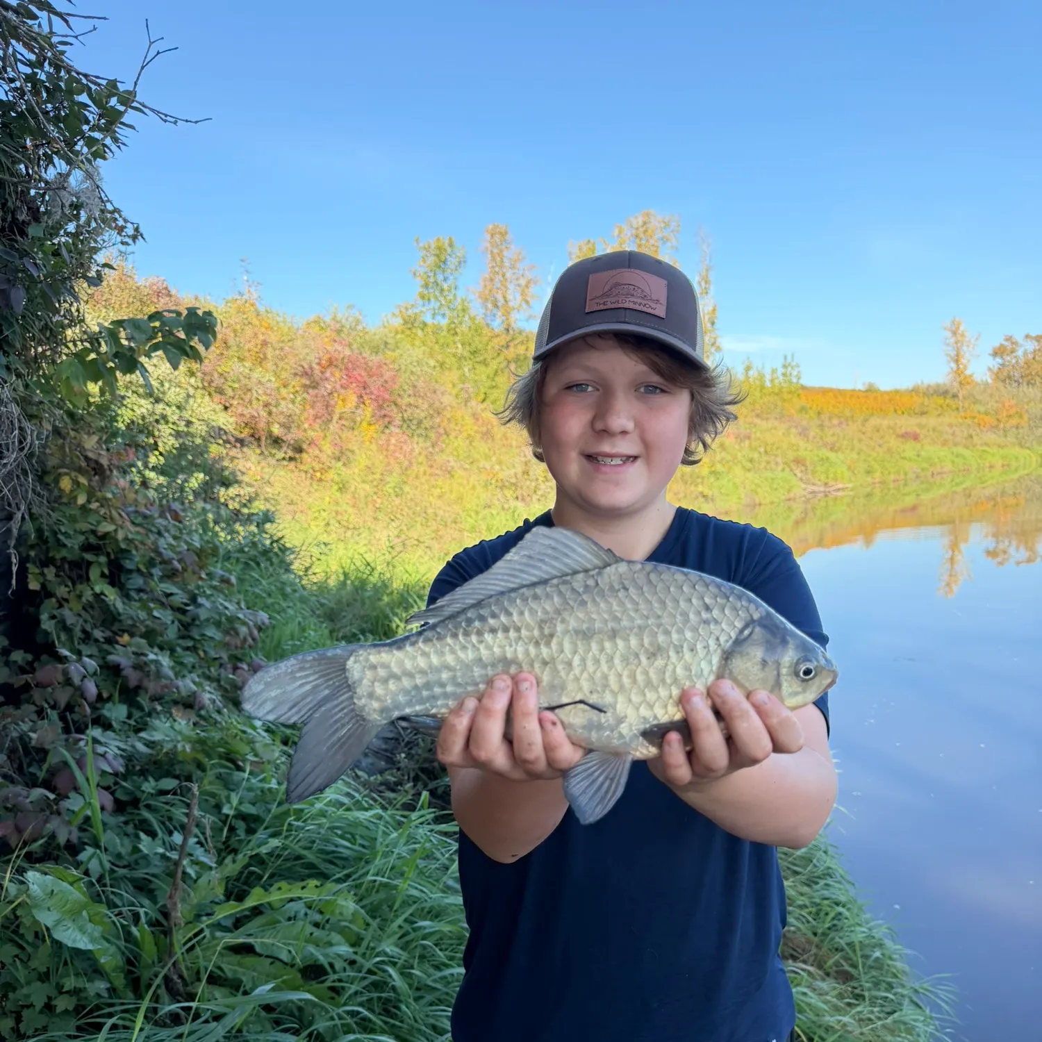 The most recent Prussian carp catches on Fishbrain