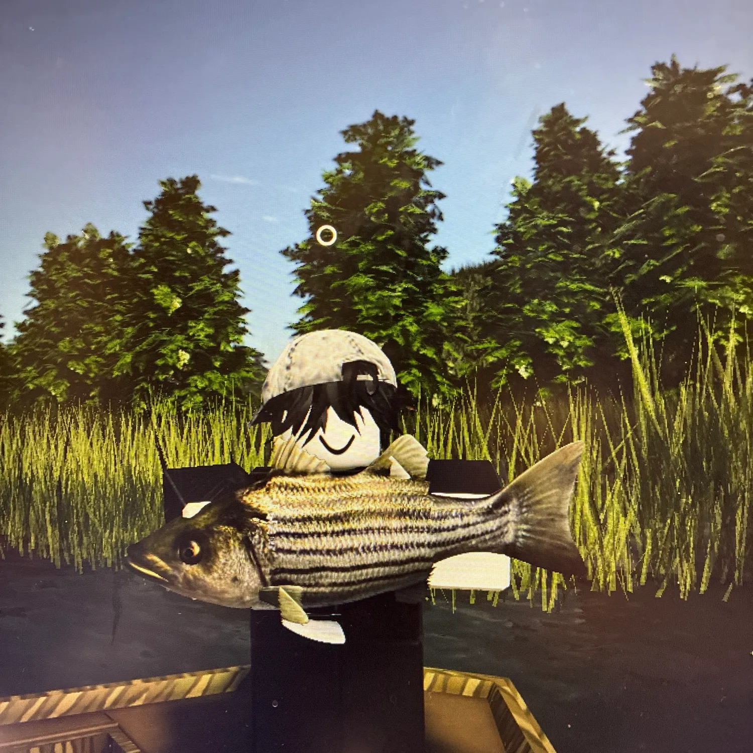 Striped bass caught on Fishbrain