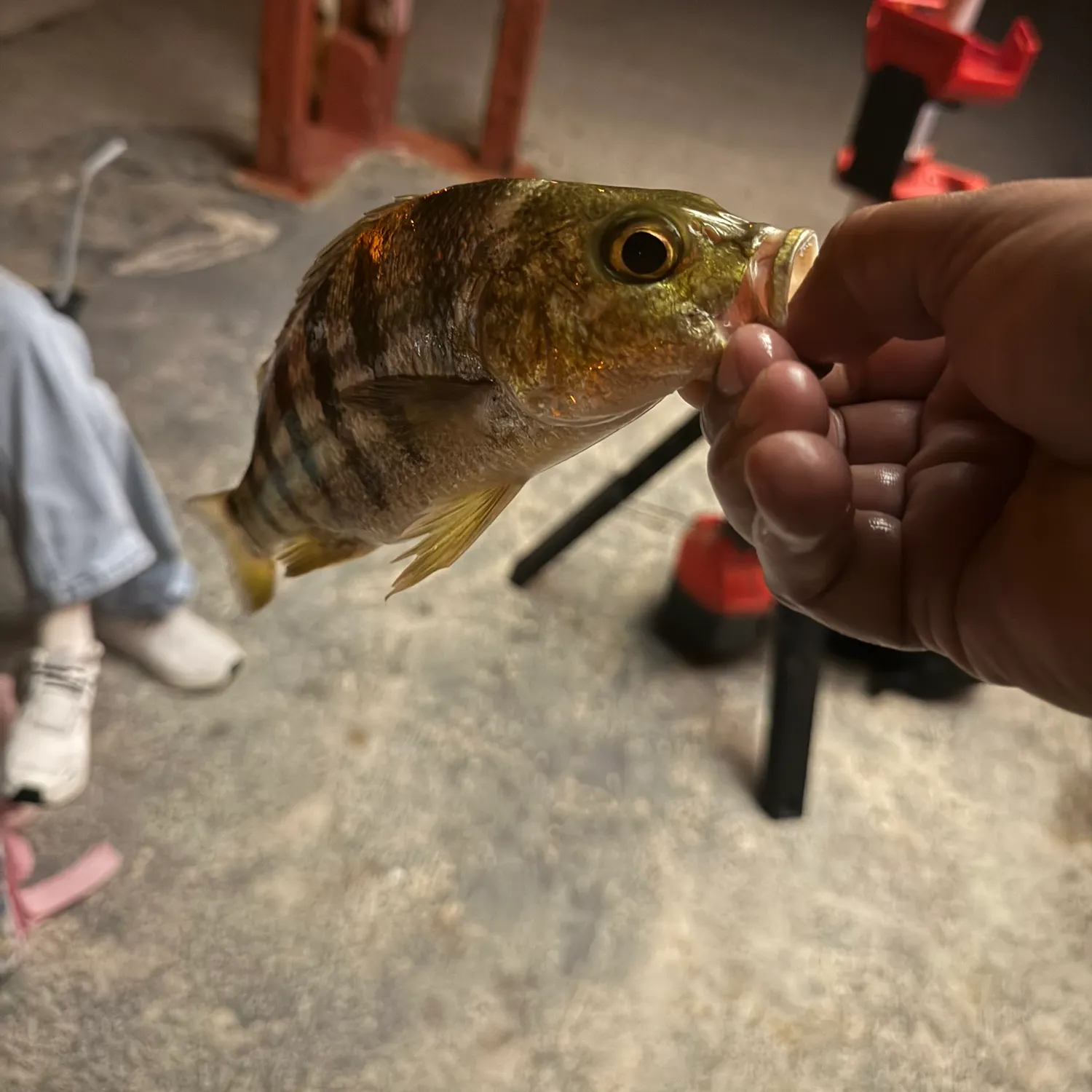 catch