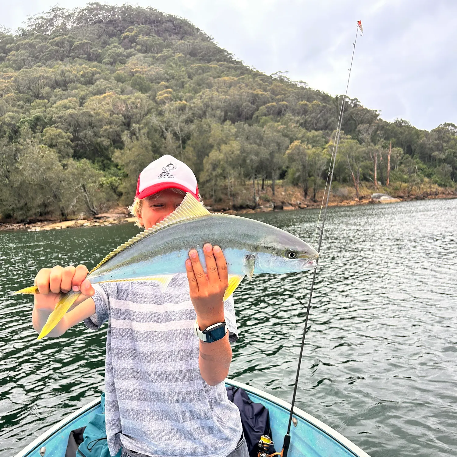 The most recent Southern yellowtail amberjack catches on Fishbrain