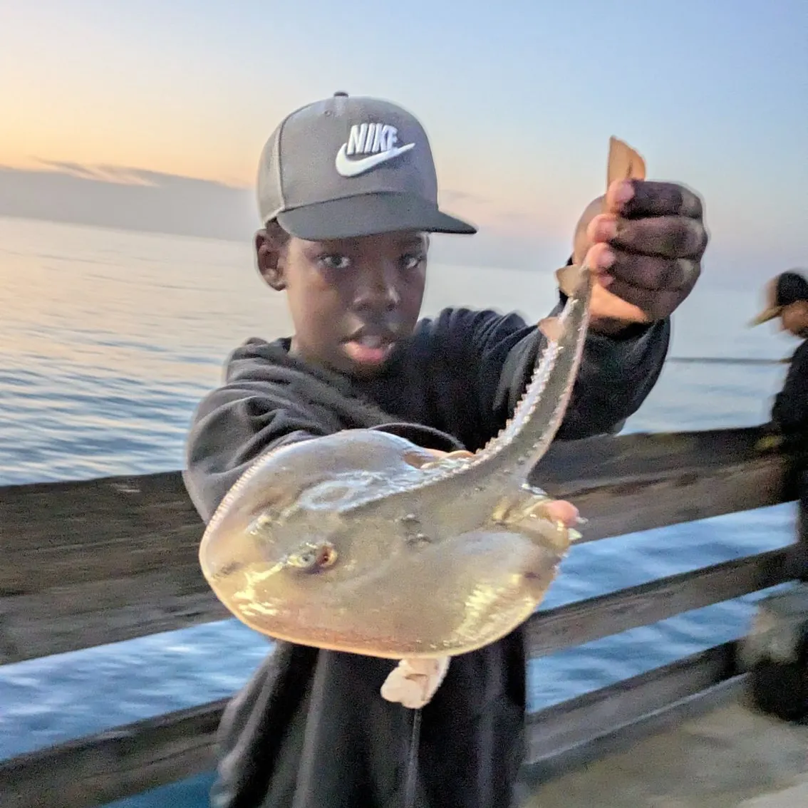 The most recent Thornback guitarfish catches on Fishbrain