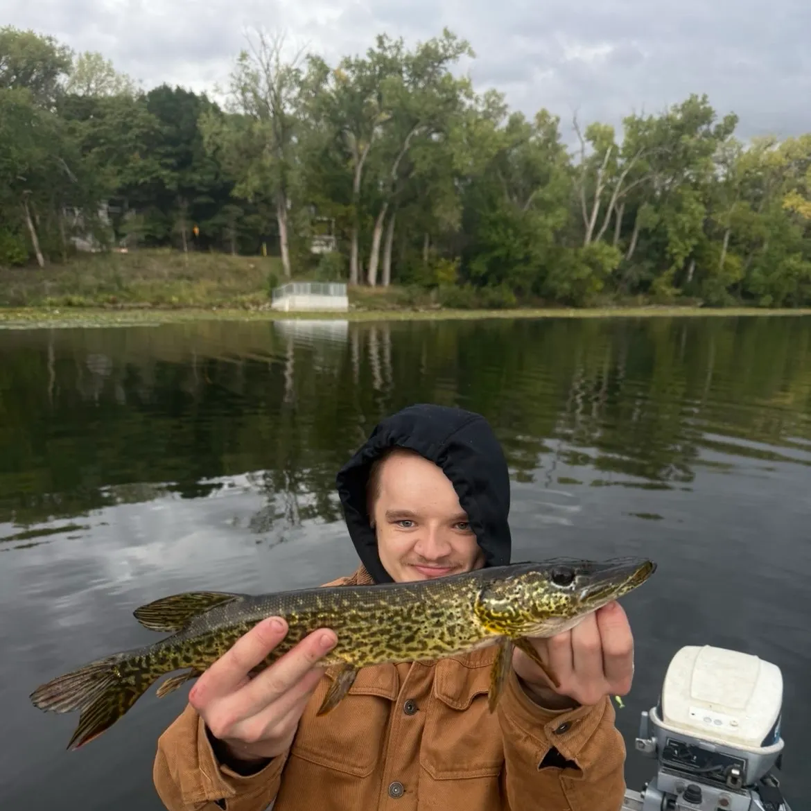 Northern pike caught on Fishbrain
