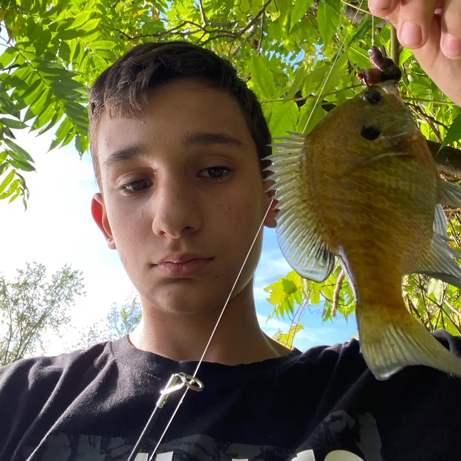 Bluegill caught on Fishbrain