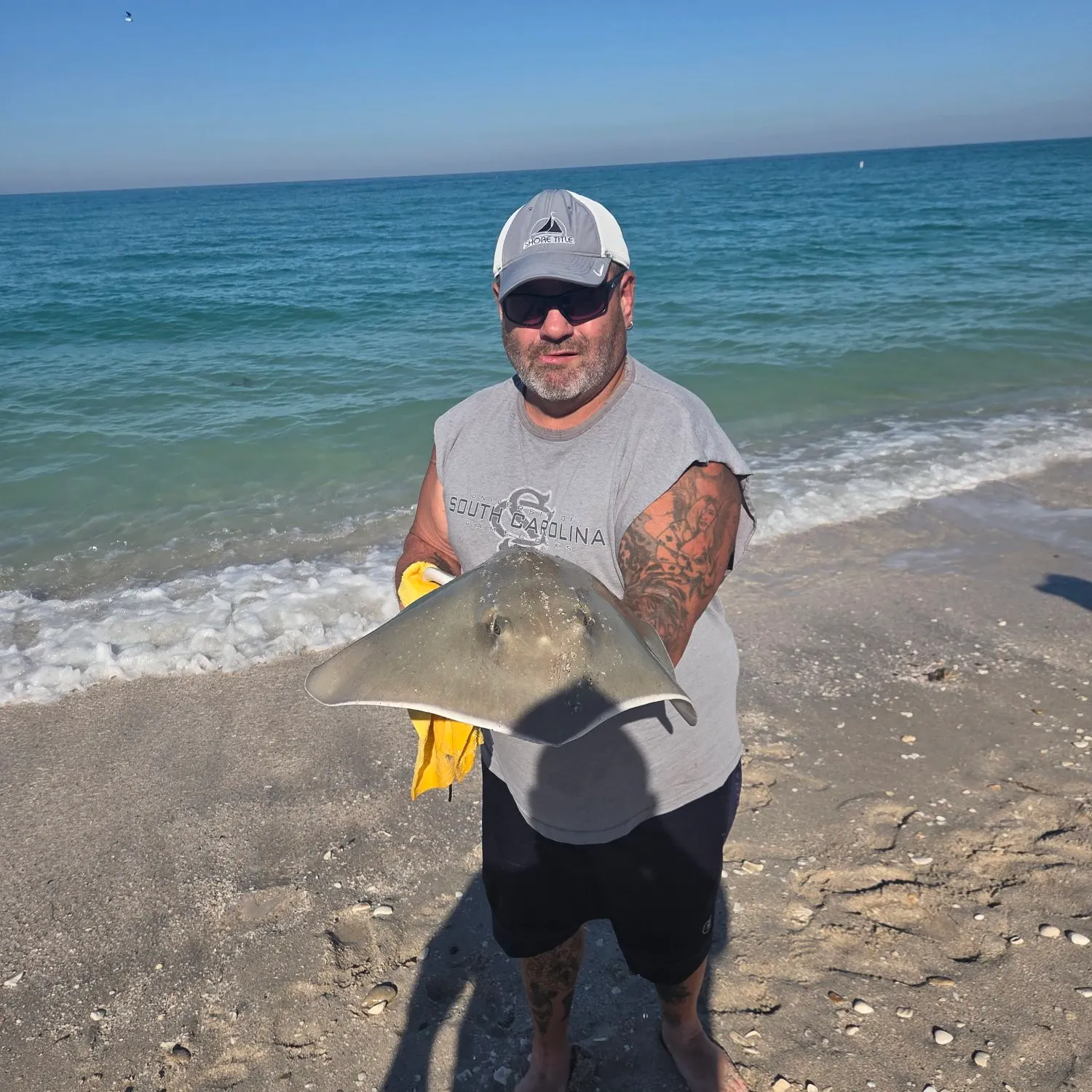 The most recent Sharpnose stingray catches on Fishbrain