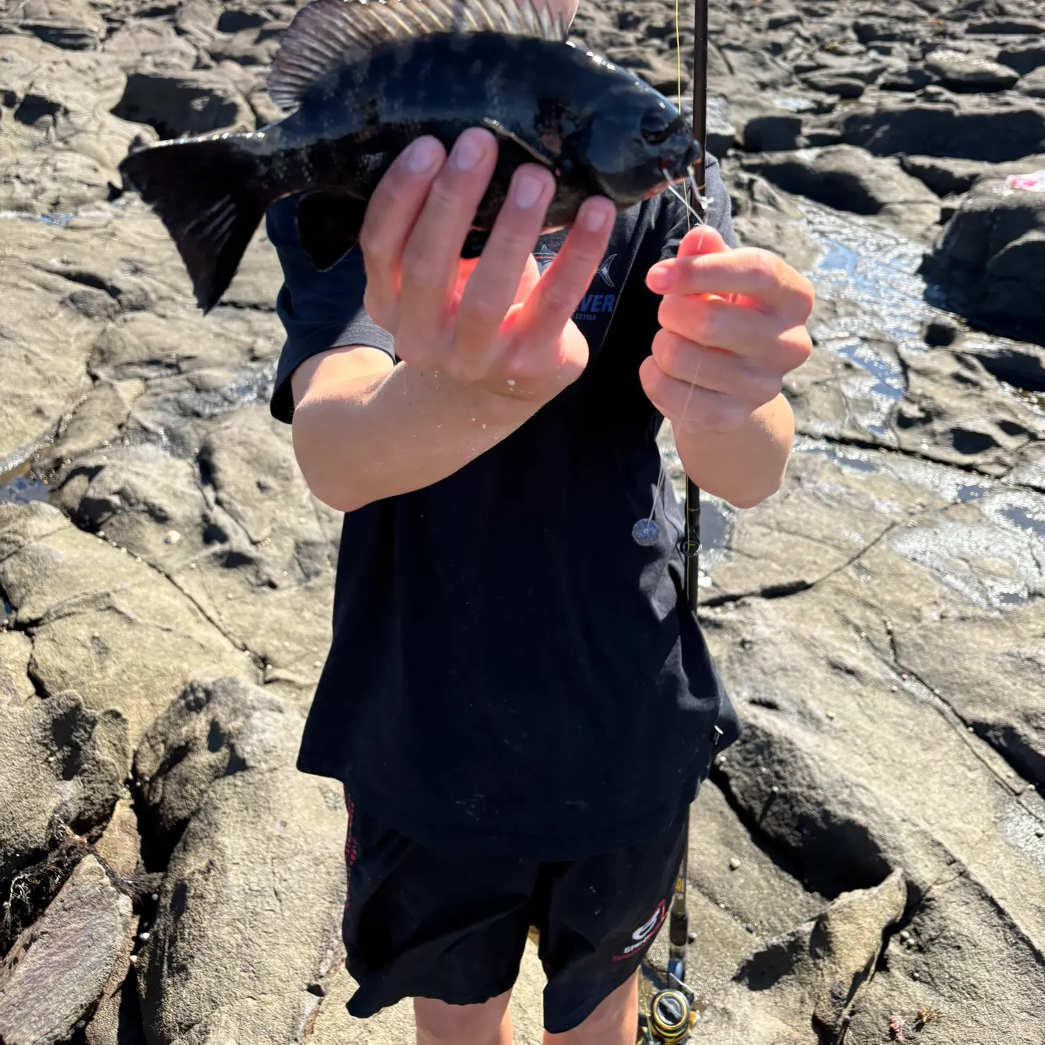 The most recent Black drummer catches on Fishbrain
