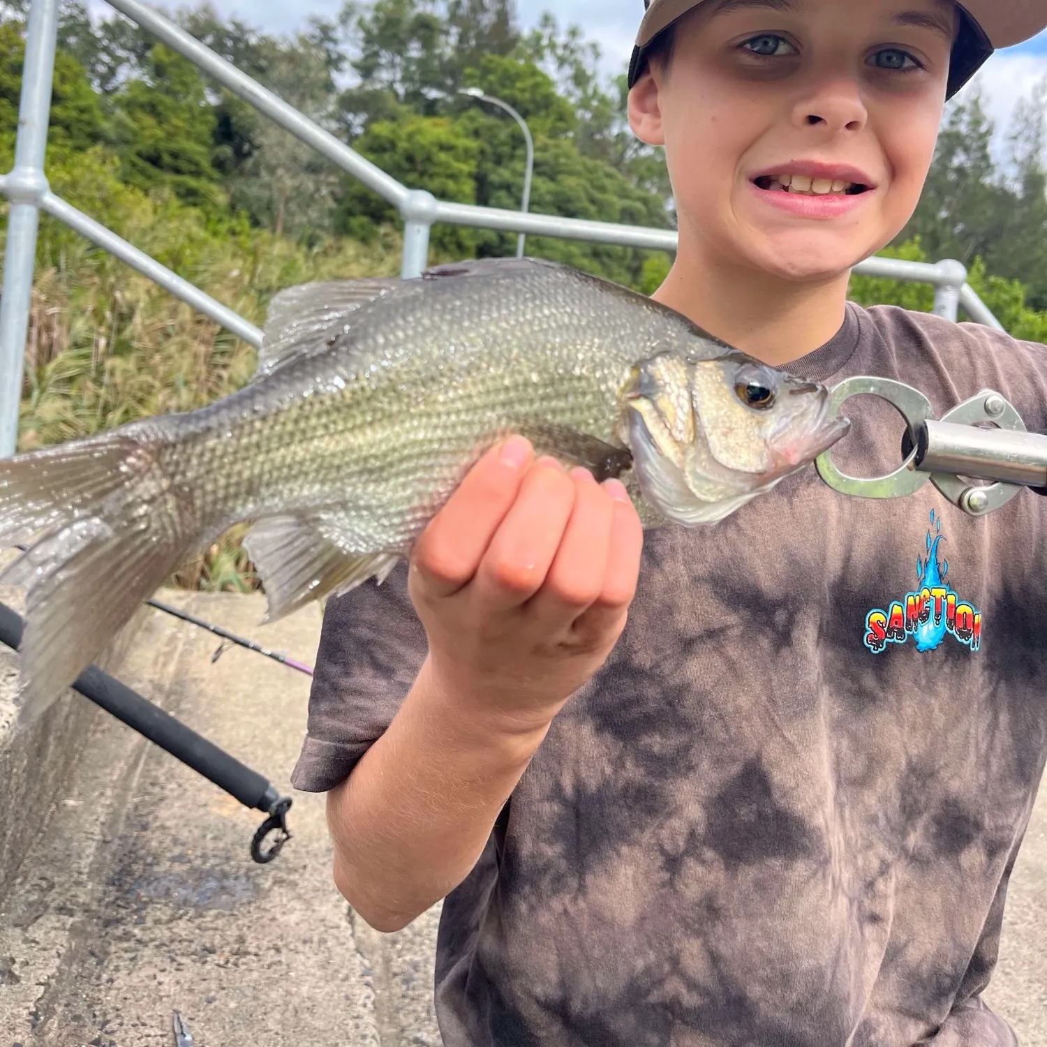 most liked catch image