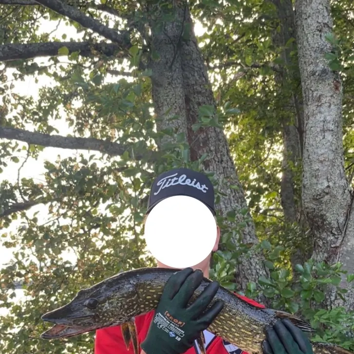 Northern pike caught on Fishbrain