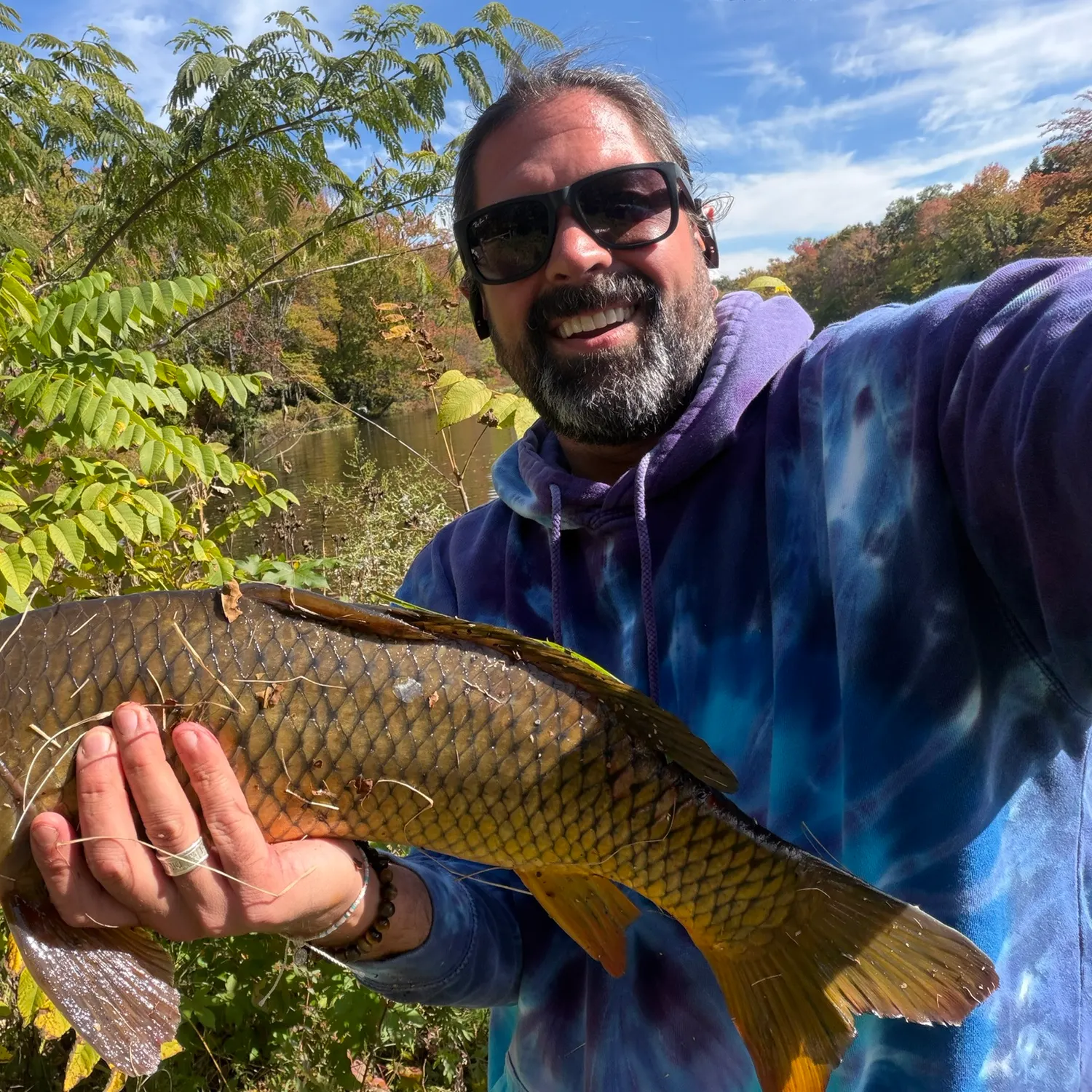 Common carp caught on Fishbrain