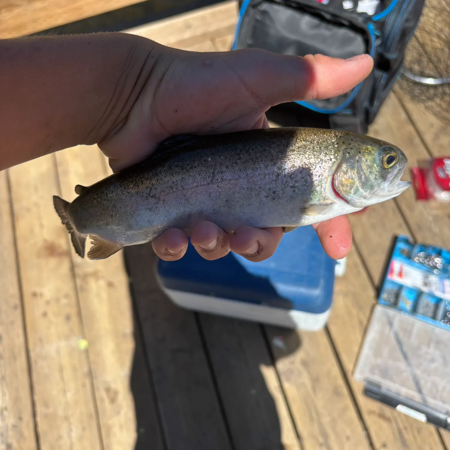 catch