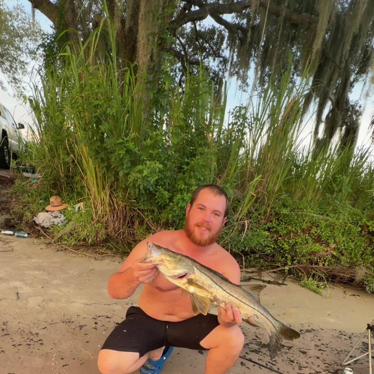 Common snook caught on Fishbrain