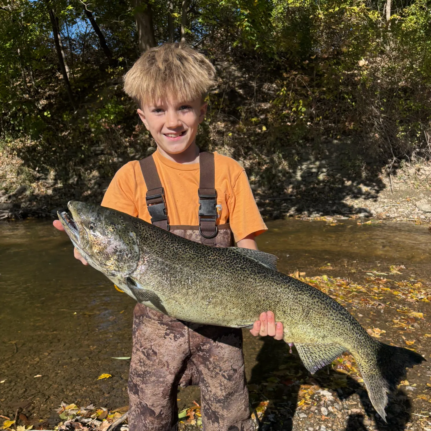 The most recent Chinook salmon catches on Fishbrain