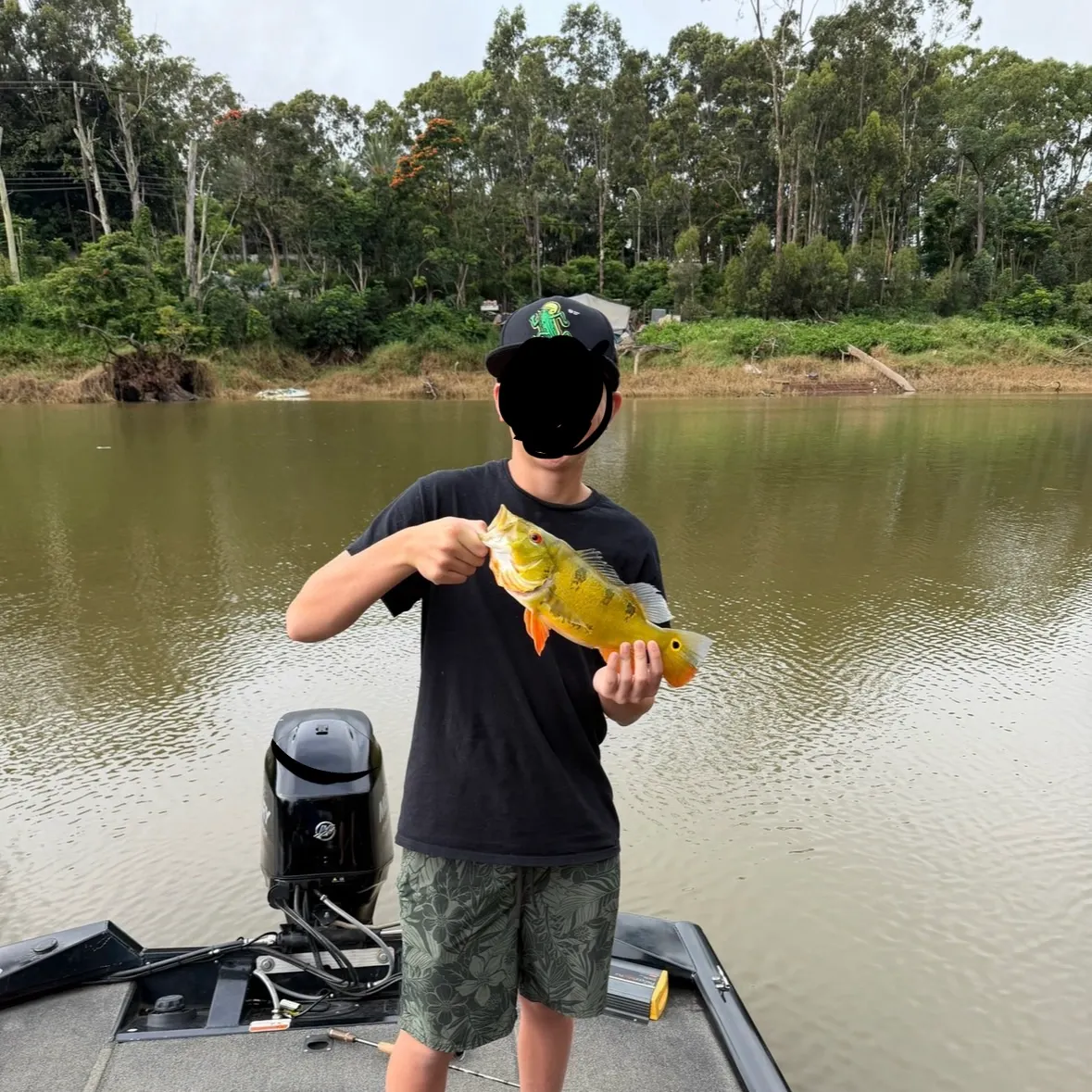 The most recent Butterfly peacock bass catches on Fishbrain