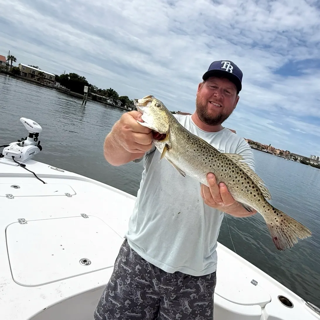 Spotted seatrout caught on Fishbrain