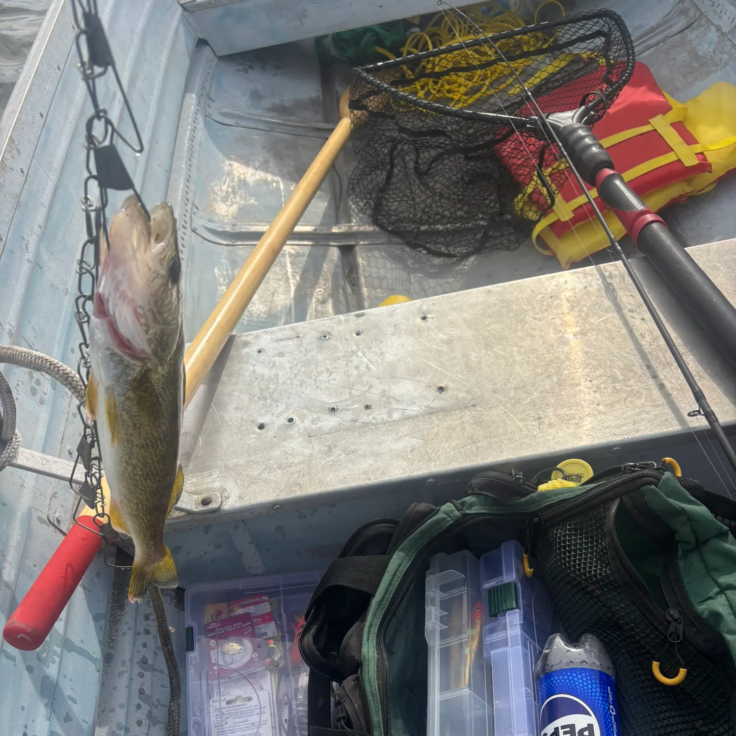 Walleye caught on Fishbrain