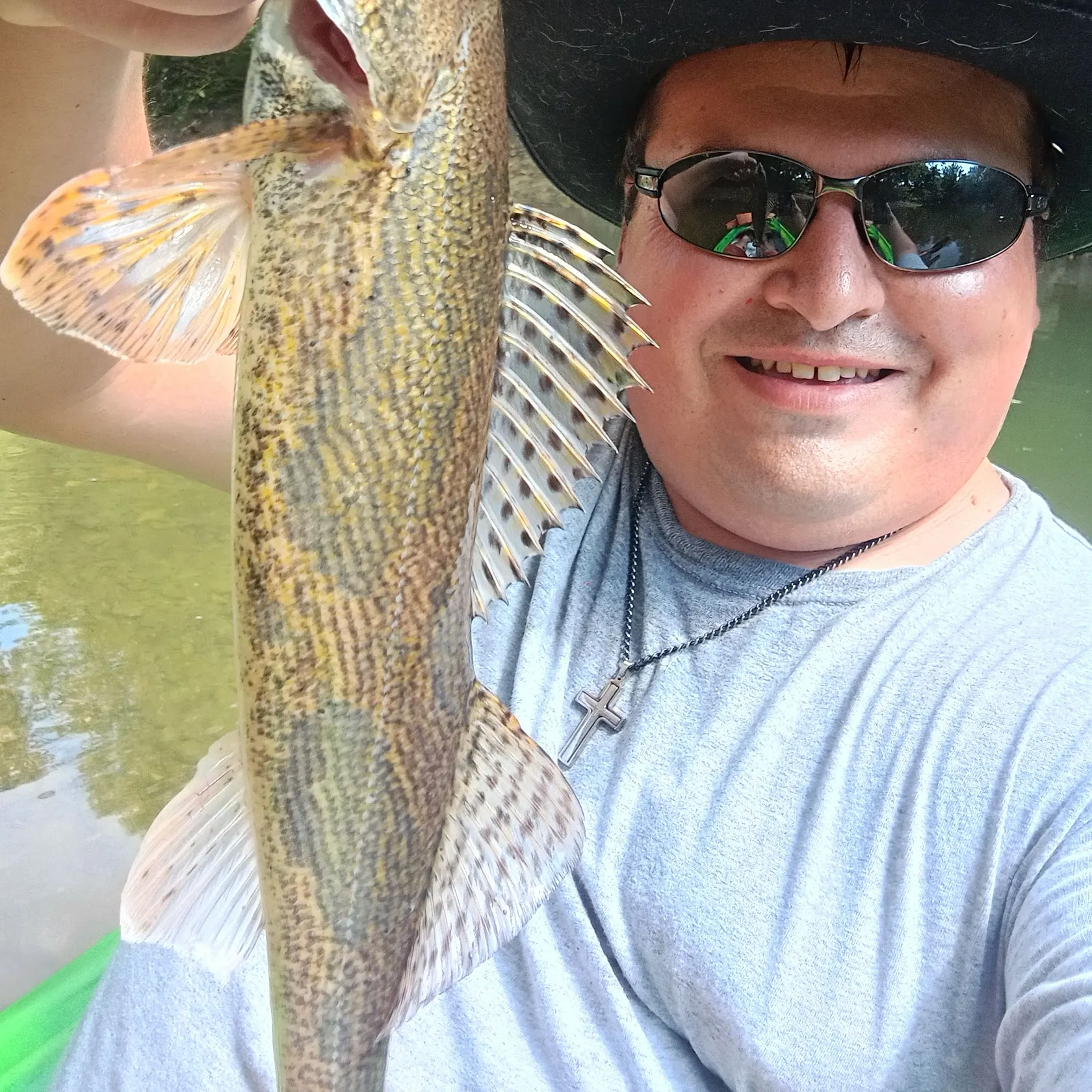 Sauger caught on Fishbrain