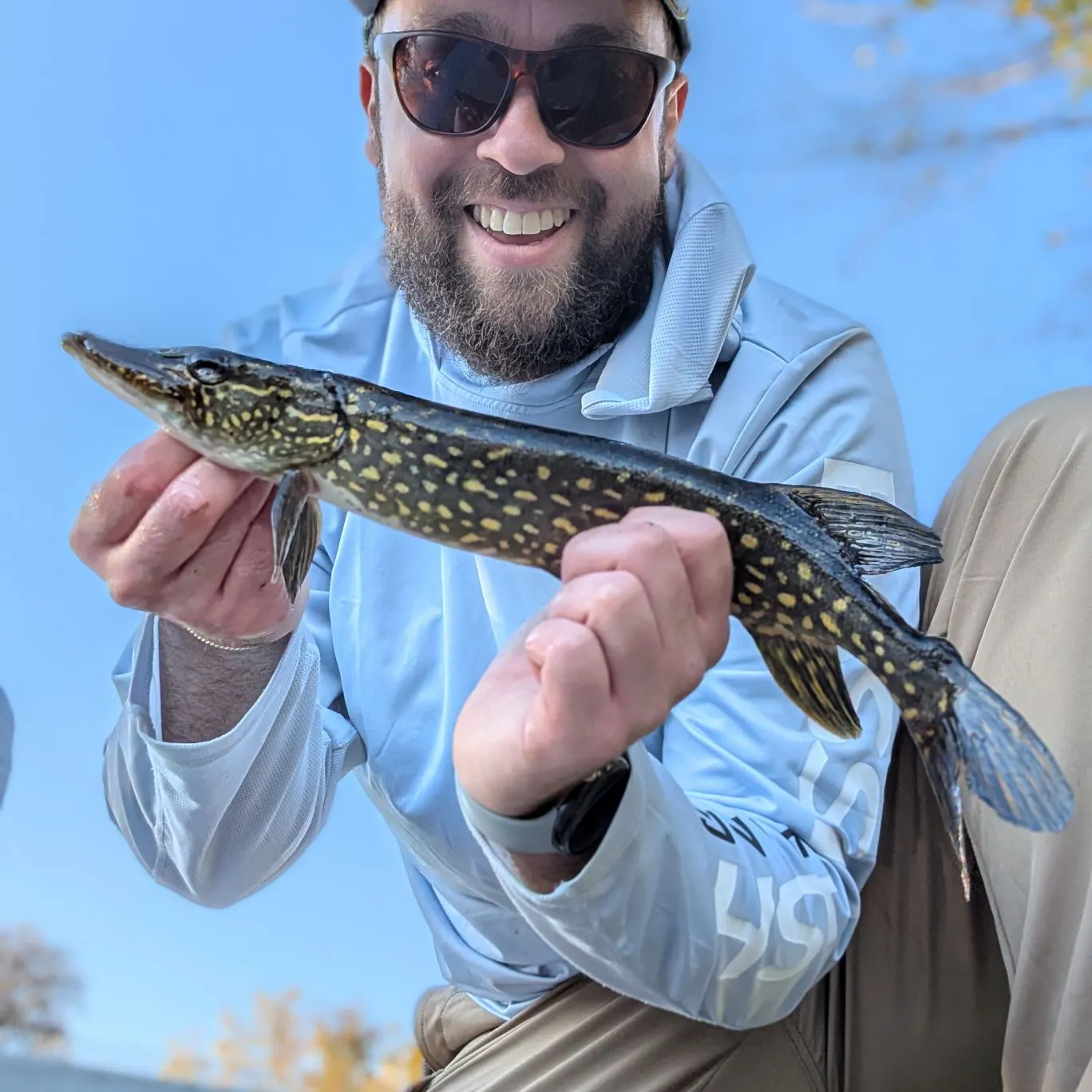 Northern pike caught on Fishbrain