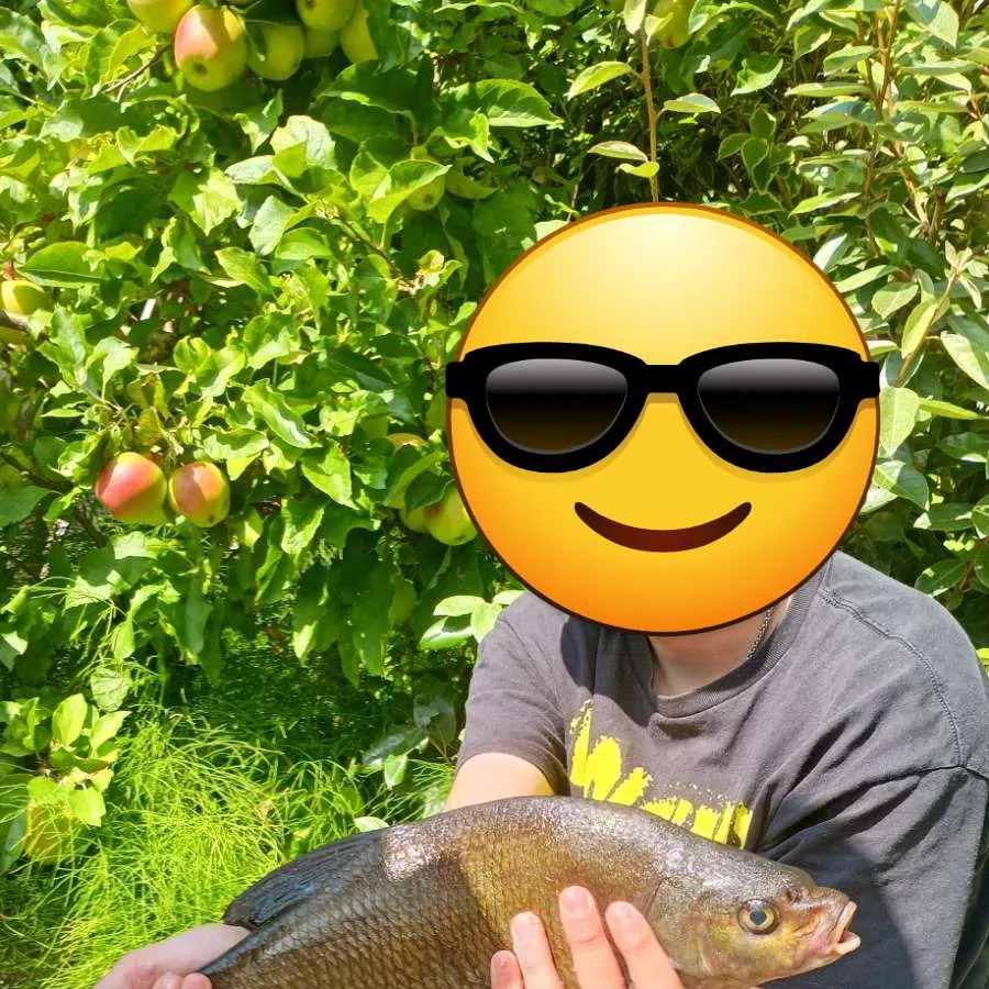 The most recent Common bream catches on Fishbrain