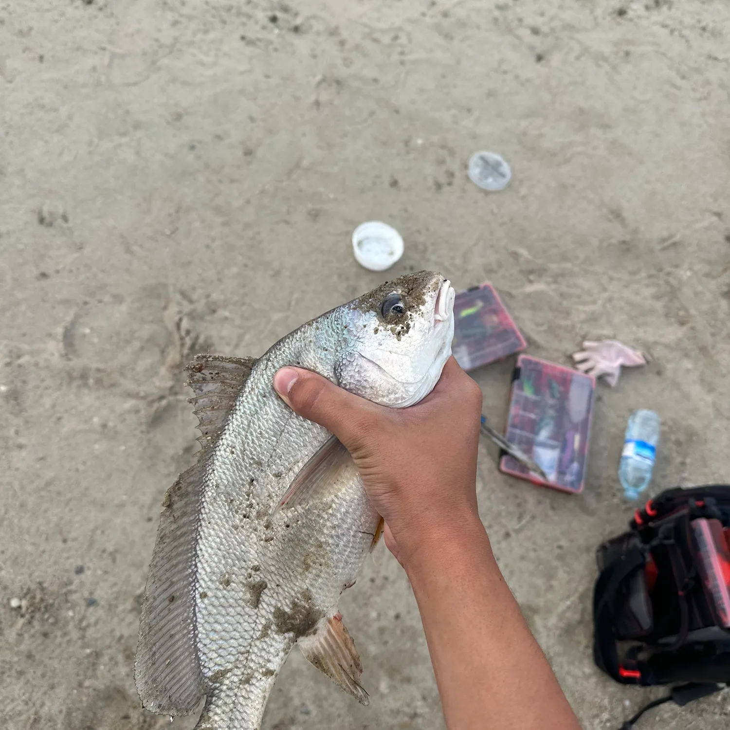 catch