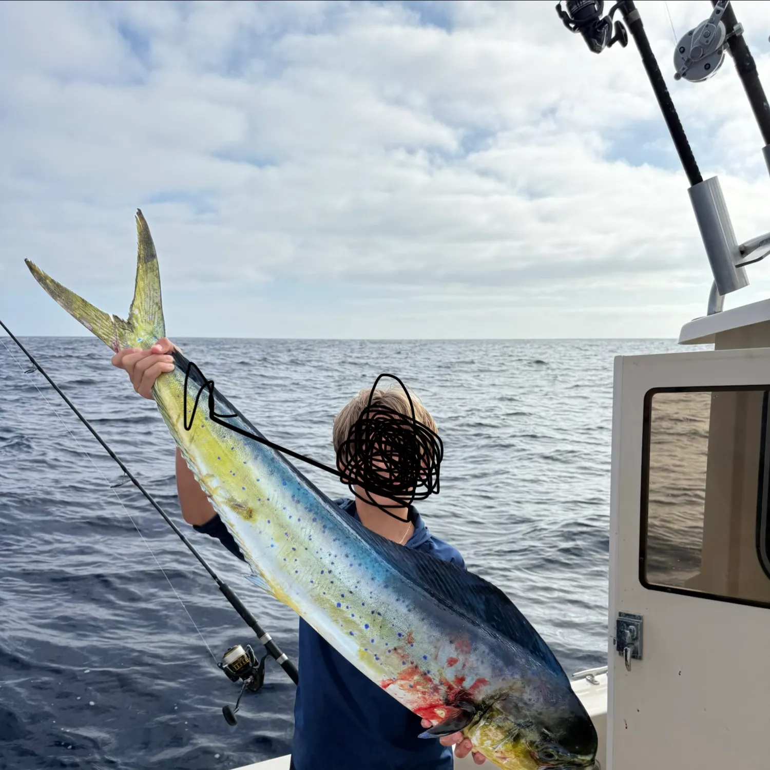 Common dolphinfish caught on Fishbrain