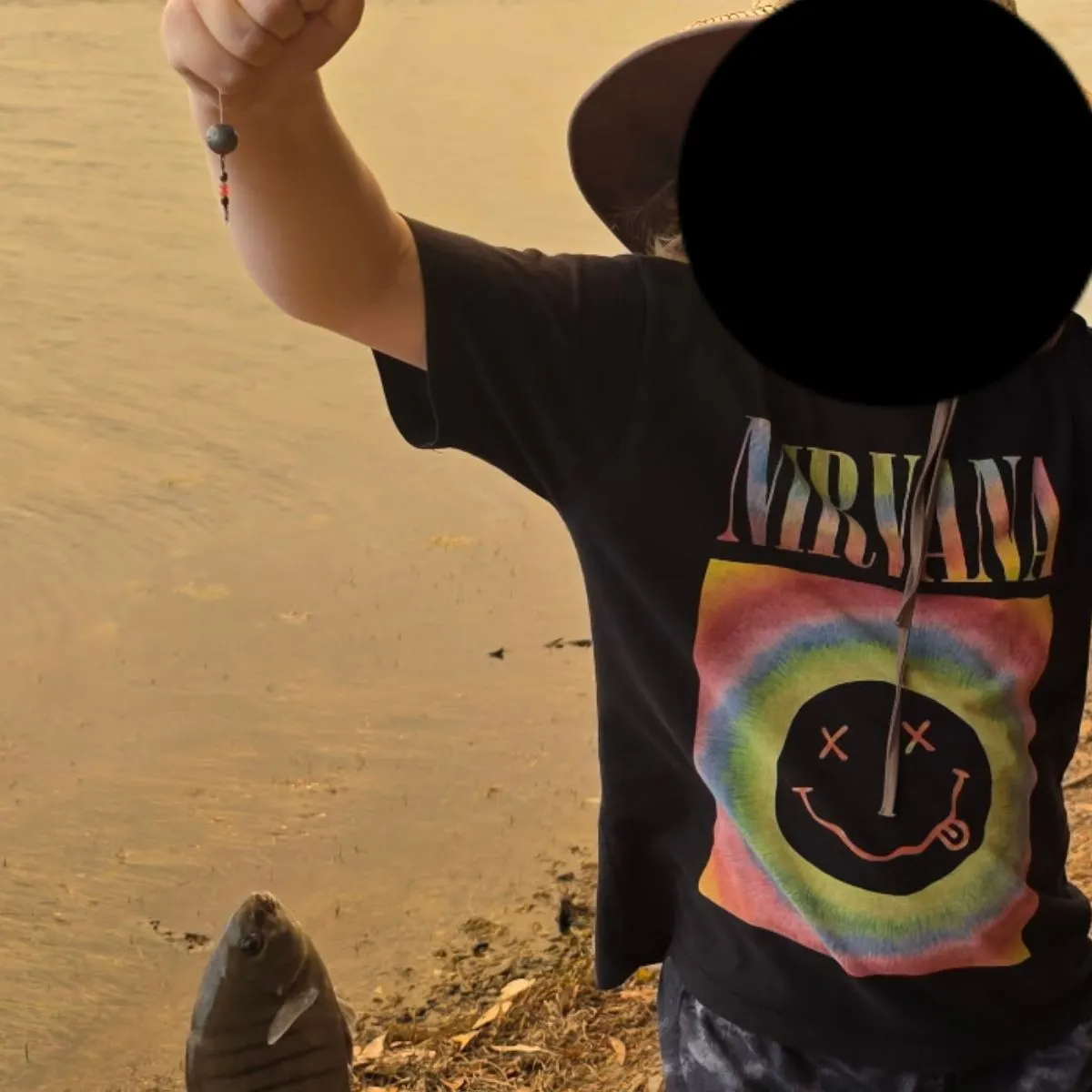 The most recent Luderick catches on Fishbrain