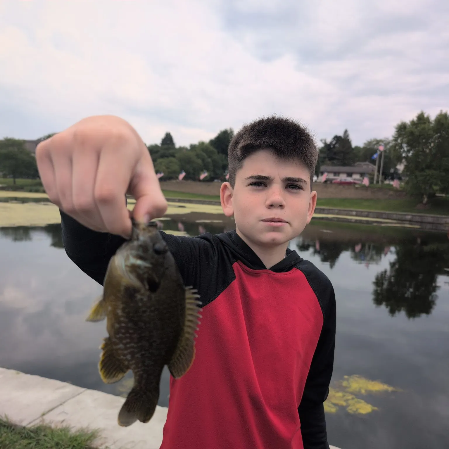 Fish caught on Fishbrain