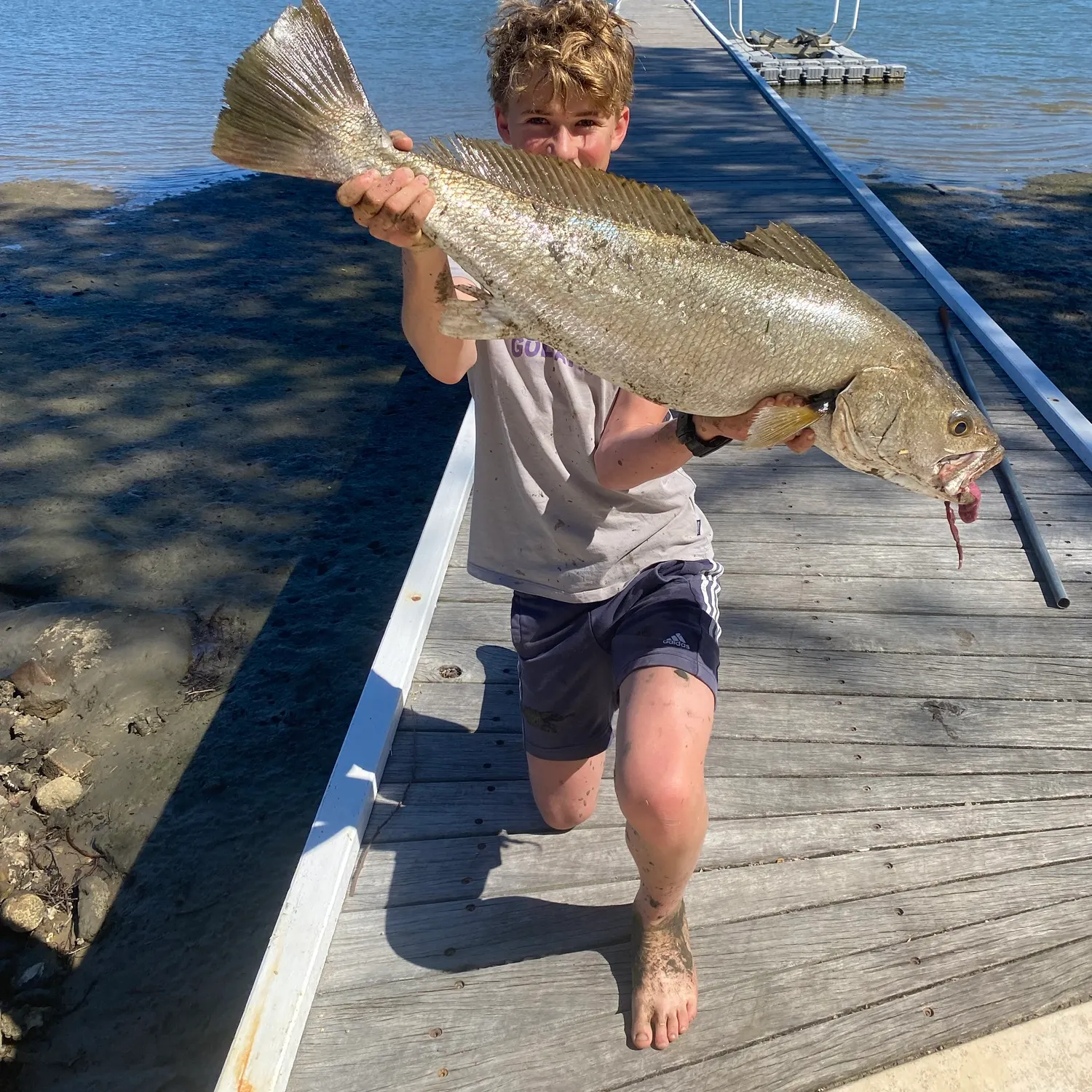 The most recent Japanese meagre catches on Fishbrain