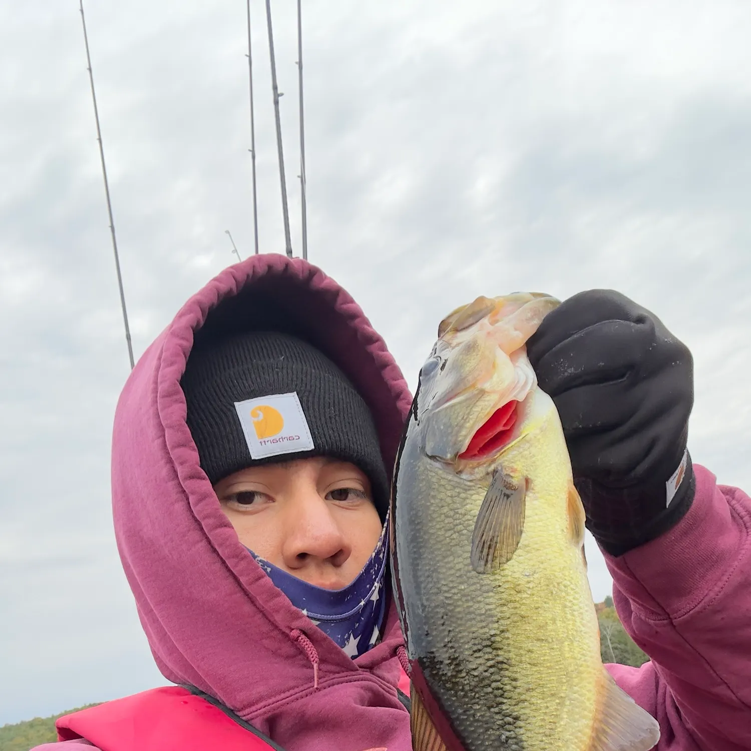 Largemouth bass caught on Fishbrain