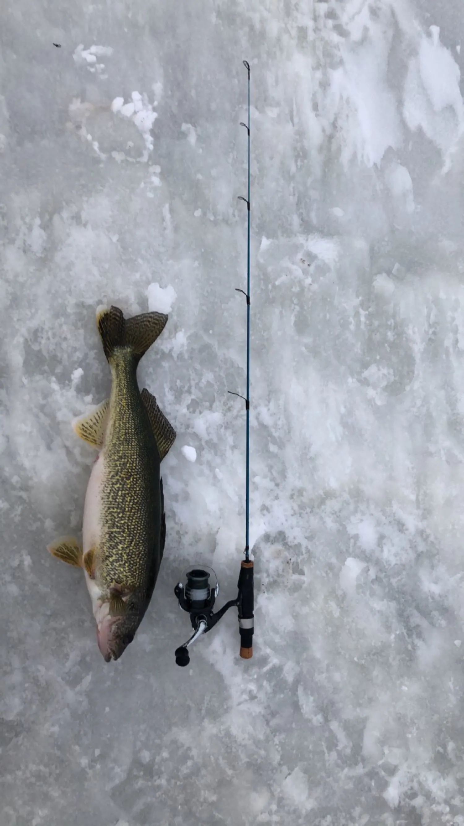 Post image from lsteg9