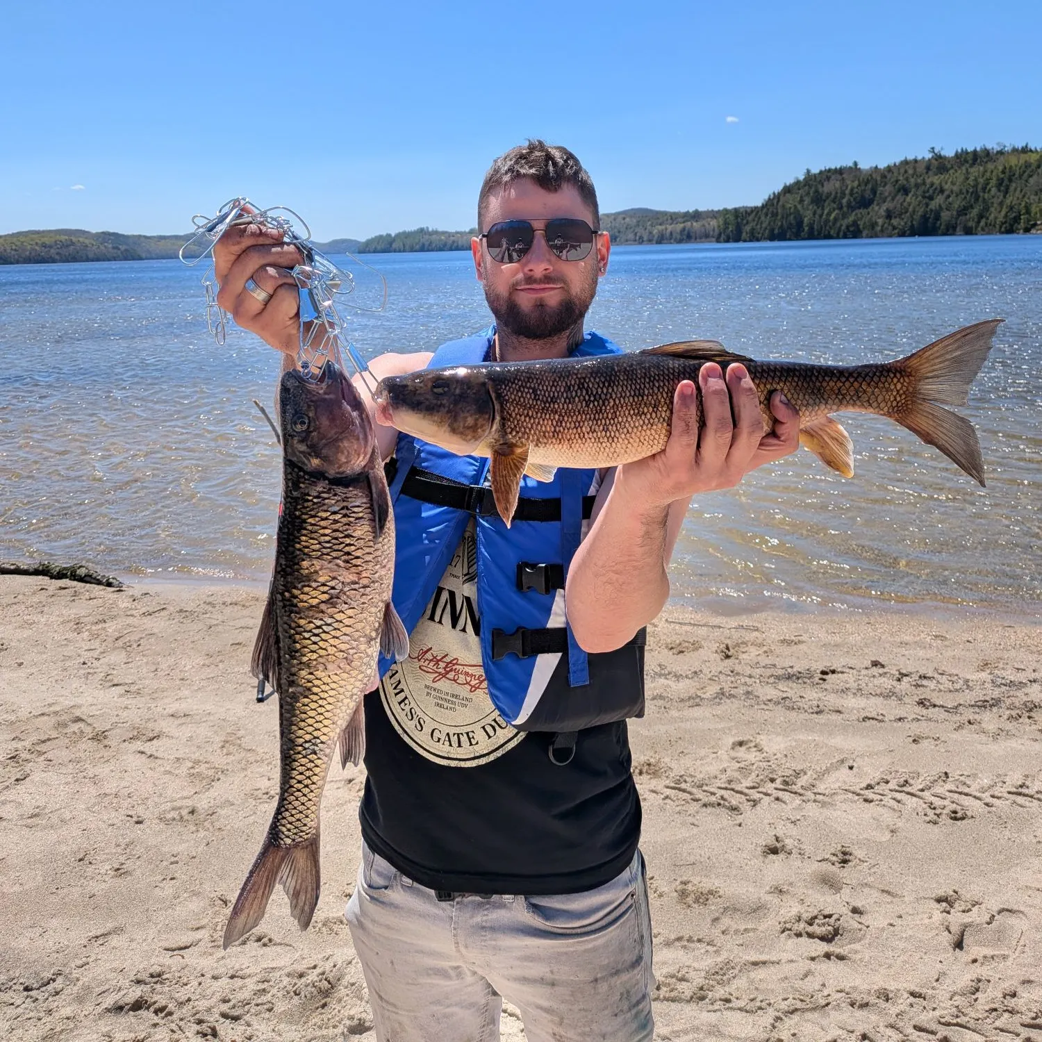 Fish caught on Fishbrain