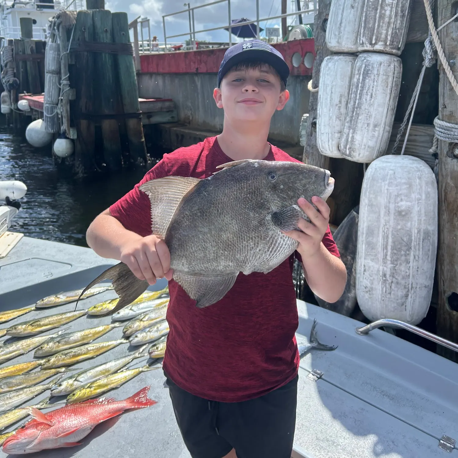 Grey triggerfish caught on Fishbrain