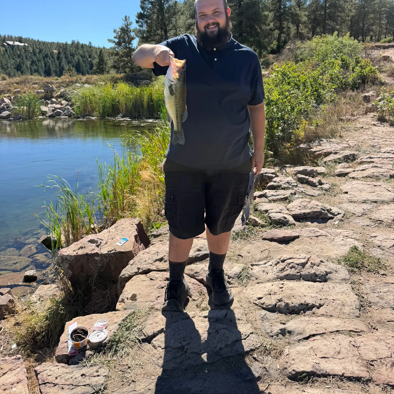 Largemouth bass caught on Fishbrain