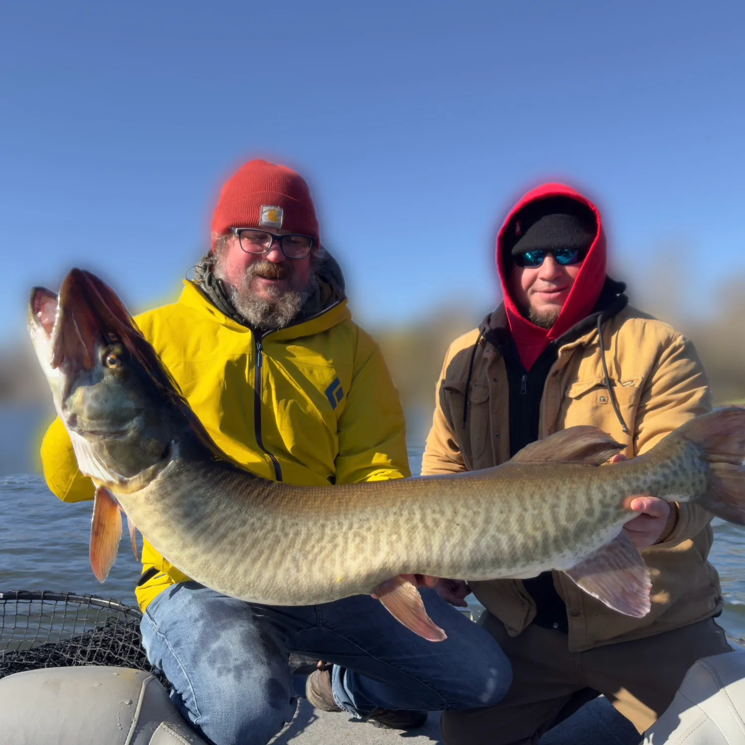 The most recent Muskellunge catches on Fishbrain