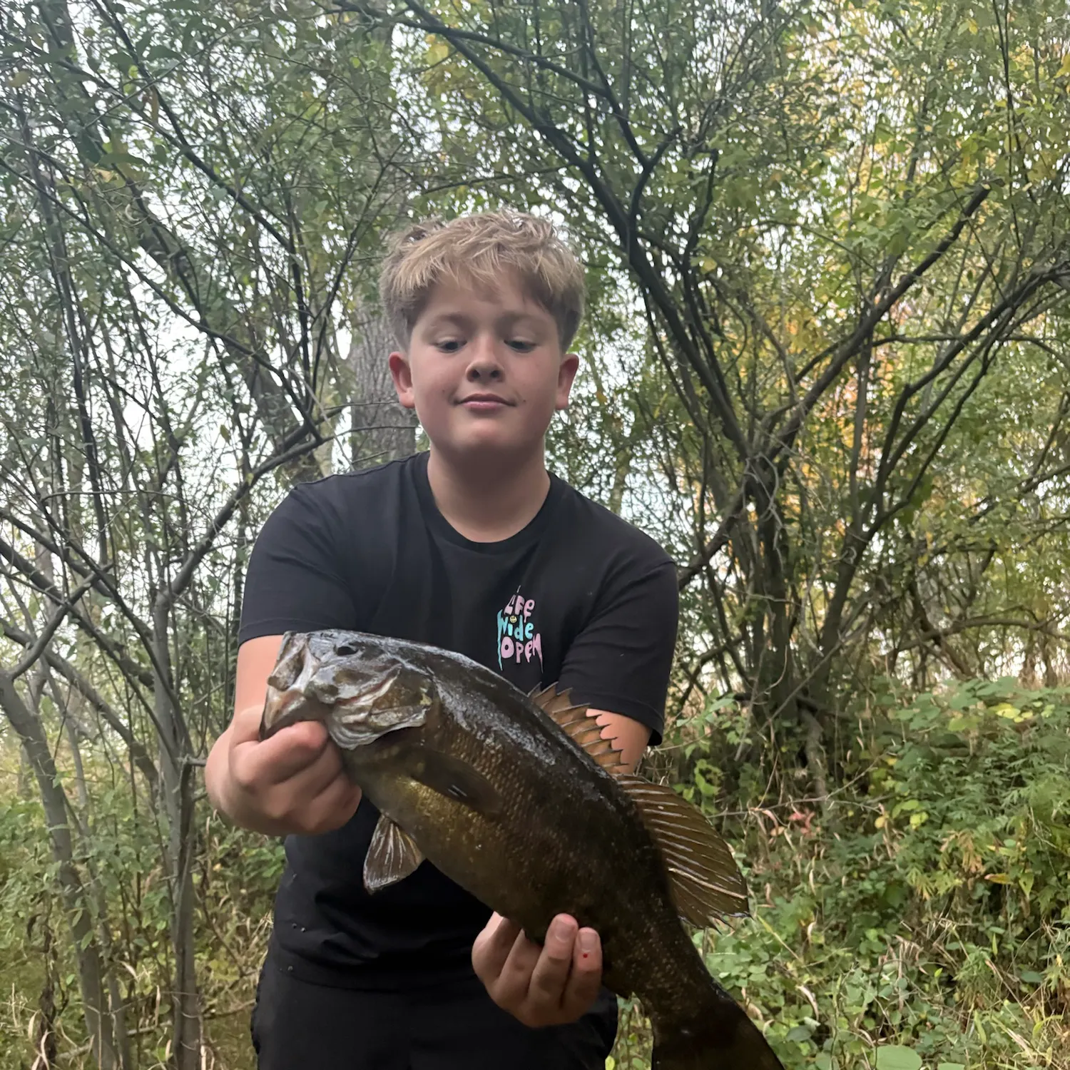 Smallmouth bass caught on Fishbrain
