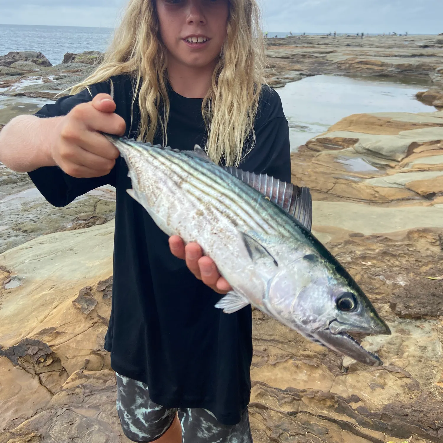 The most recent Striped bonito catches on Fishbrain
