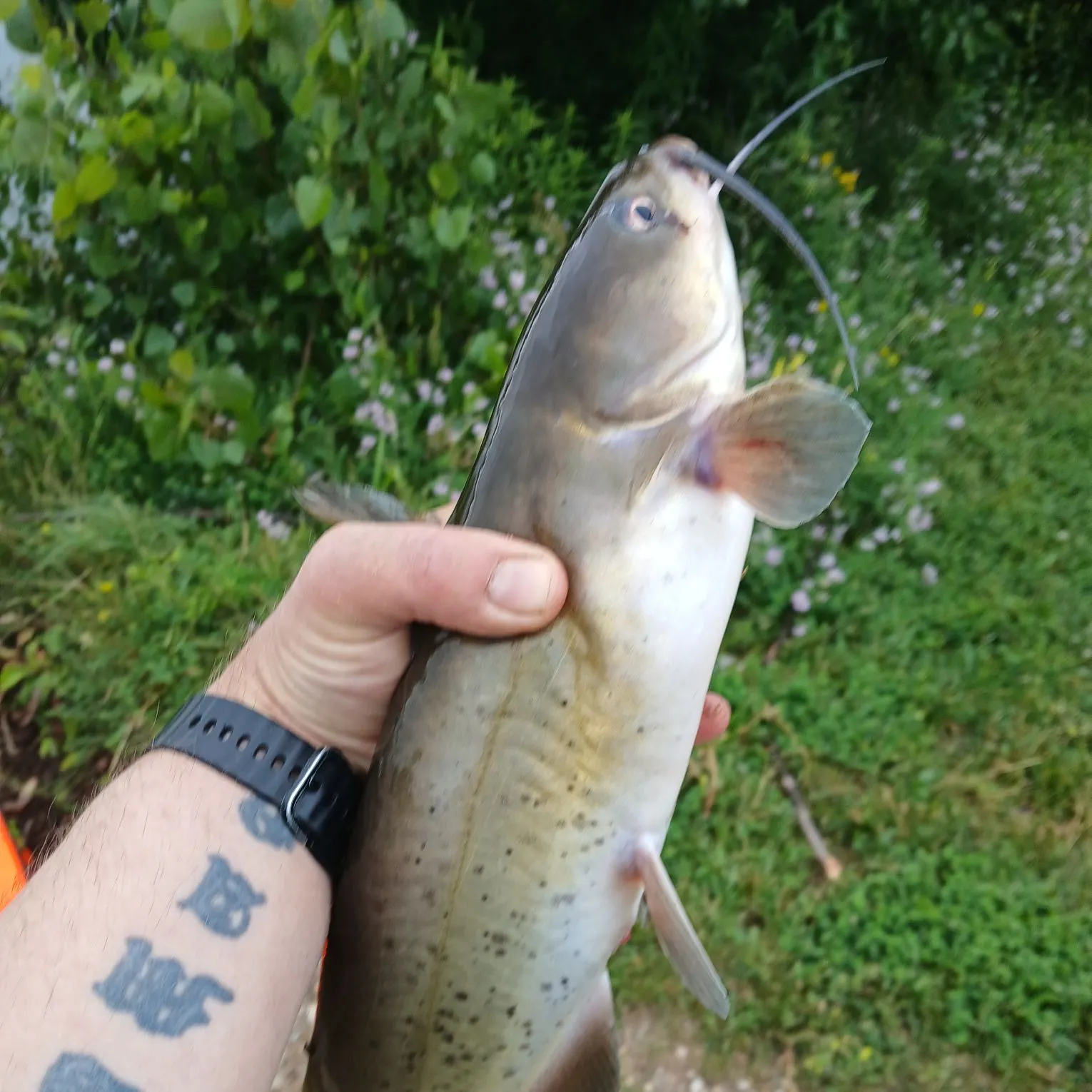 catch